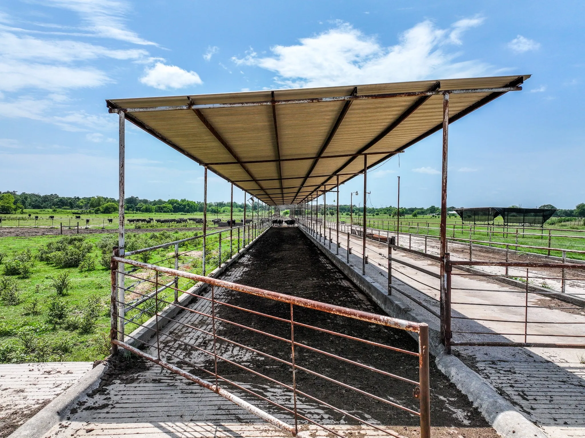 Ranch For Sale in Hopkins County , 270 Farm Road 2560, Sulphur Springs, Texas 75482, 0, 0, Garage spaces, 0 Sqft, built in 1960, Price $879,999, mls#21303467, Real Estate Agent in Sulphur Springs, Homes For Sale in Hopkins county, Homes For Sale in Sulphur Springs, Realtor in Sulphur Springs Texas, Real Estate Brokerage Independent Realty Texas, Luminita Cordes Realtor