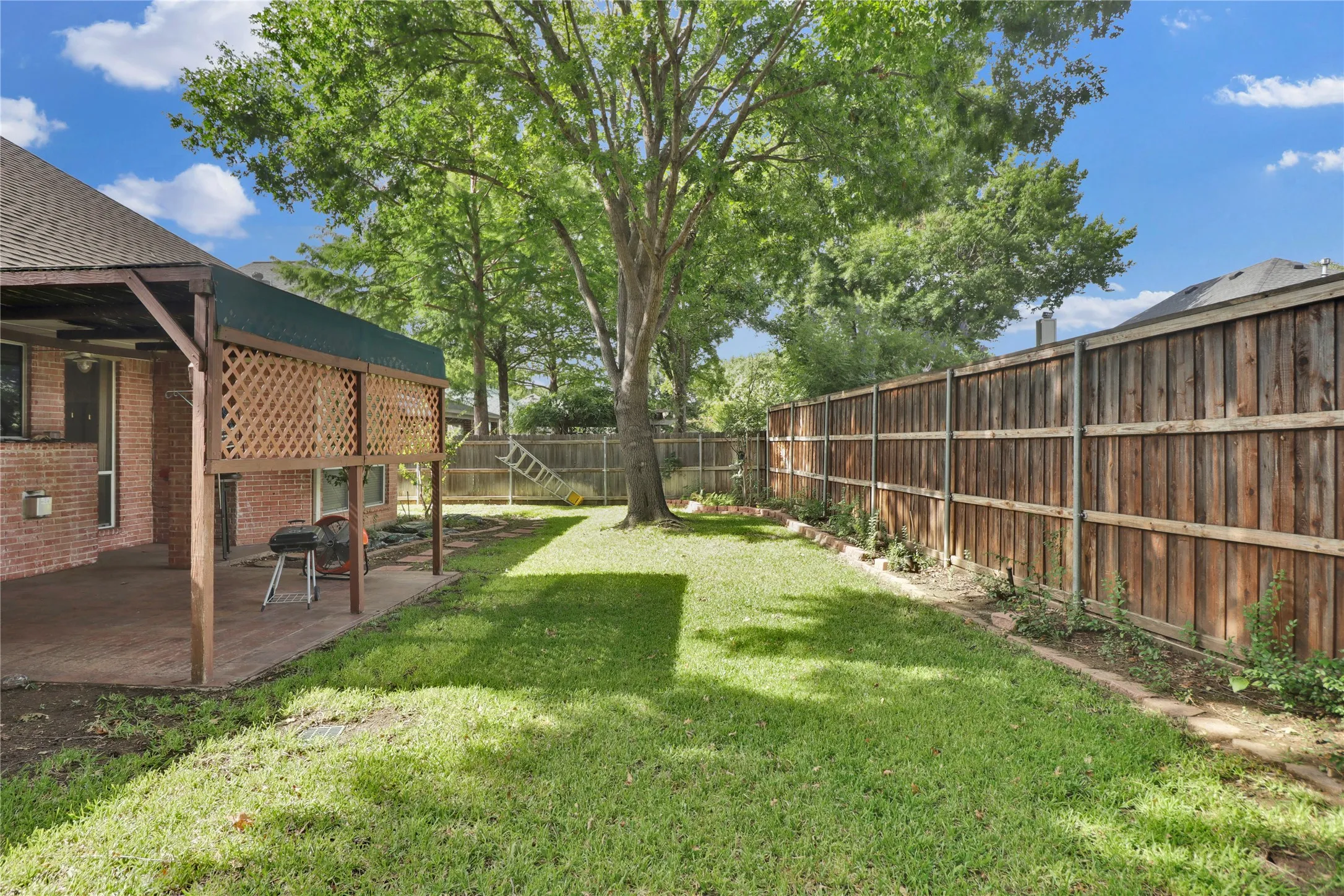 Backyard with shade from the tree and covered patio.