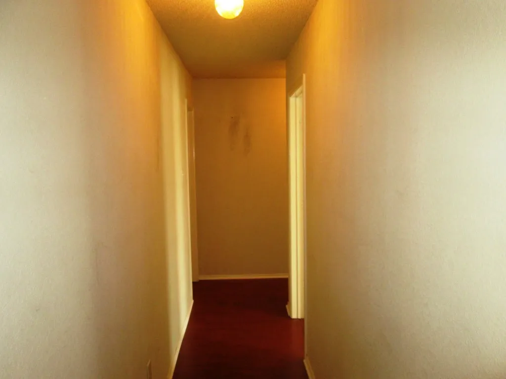 Image quality insufficient for description