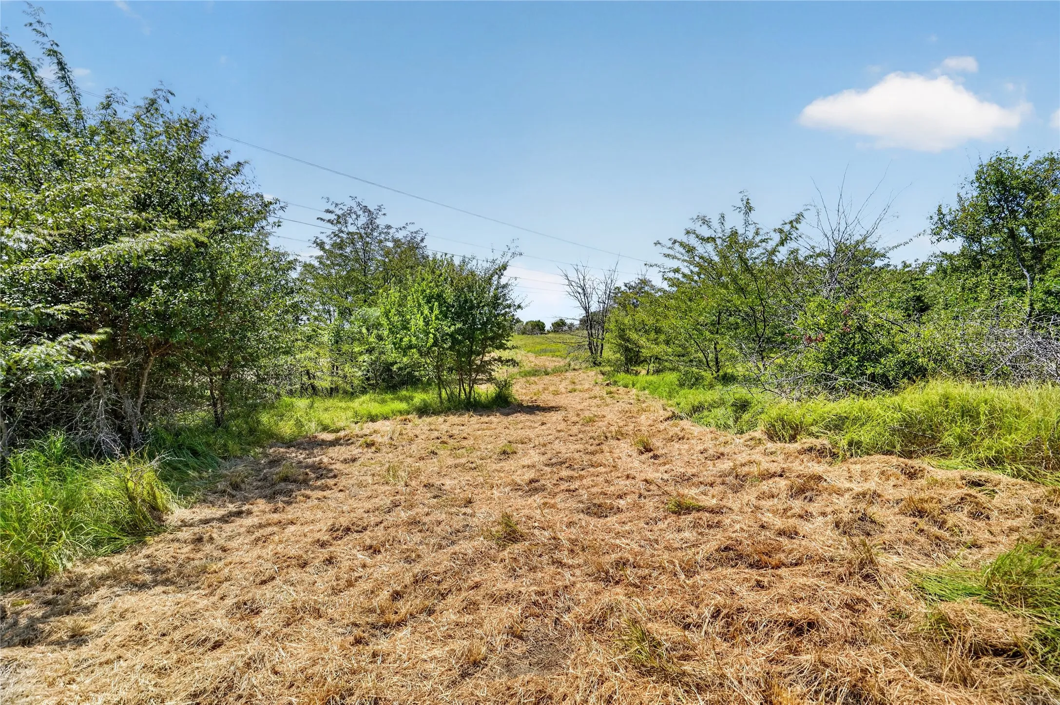 Improved Land For Sale in Parker County , 2024 Big Cedar Court, Weatherford, Texas 76087, 0, 0, Garage spaces, 0 Sqft, built in 0, mls#21345719, Real Estate Agent in Weatherford, Homes For Sale in Parker county, Homes For Sale in Weatherford, Realtor in Weatherford Texas, Real Estate Brokerage Independent Realty Texas, Luminita Cordes Realtor