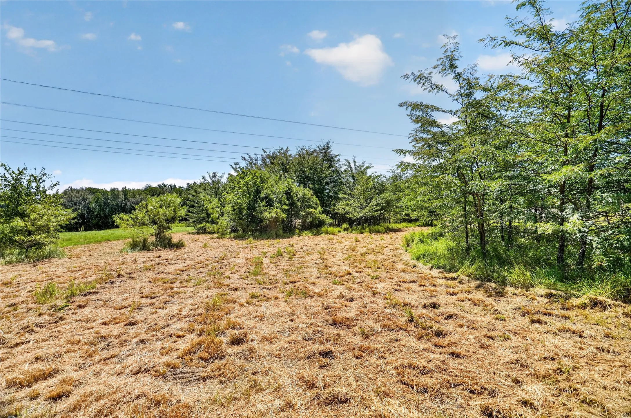 Improved Land For Sale in Parker County , 2024 Big Cedar Court, Weatherford, Texas 76087, 0, 0, Garage spaces, 0 Sqft, built in 0, mls#21345719, Real Estate Agent in Weatherford, Homes For Sale in Parker county, Homes For Sale in Weatherford, Realtor in Weatherford Texas, Real Estate Brokerage Independent Realty Texas, Luminita Cordes Realtor