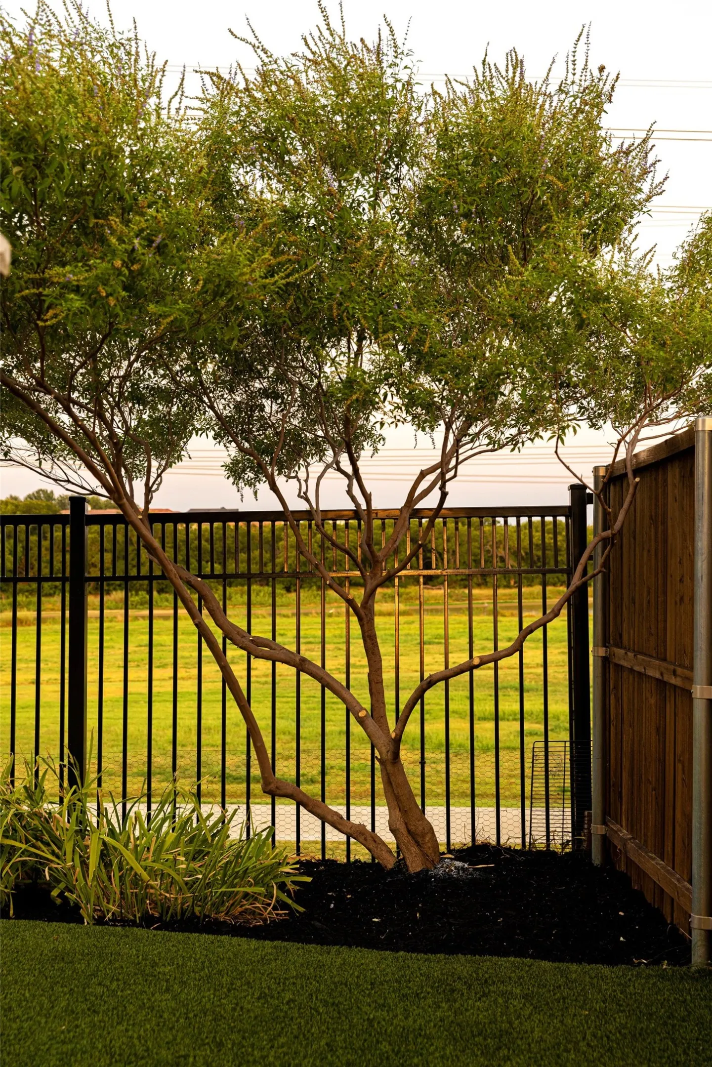 Landscaped backyard featuring a mature tree, artificial turf, and a black metal fence