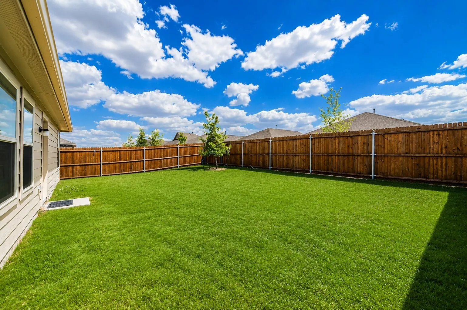 Expansive green lawn framed by a privacy fence and a young tree