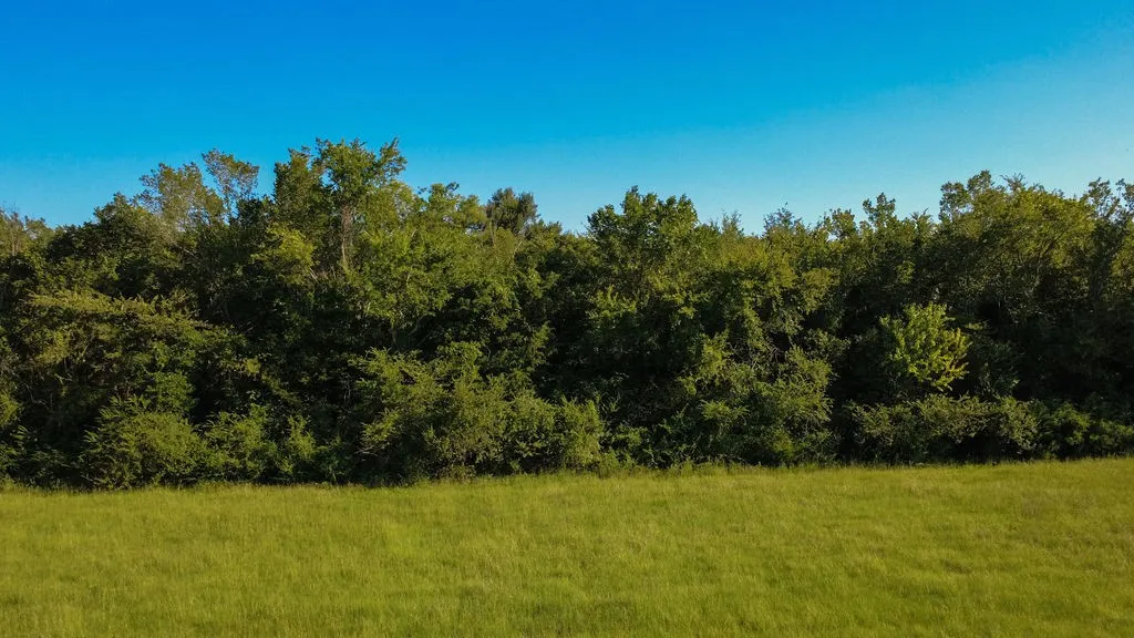 Unimproved Land For Sale in Hopkins County , 0000 S Broadway Street, Sulphur Springs, Texas 75482, 0, 0, Garage spaces, 0 Sqft, built in 0, Price $596,275, mls#21344331, Real Estate Agent in Sulphur Springs, Homes For Sale in Hopkins county, Homes For Sale in Sulphur Springs, Realtor in Sulphur Springs Texas, Real Estate Brokerage Independent Realty Texas, Luminita Cordes Realtor