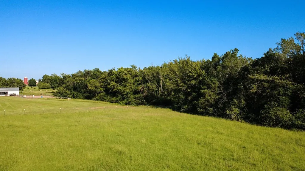 Unimproved Land For Sale in Hopkins County , 0000 S Broadway Street, Sulphur Springs, Texas 75482, 0, 0, Garage spaces, 0 Sqft, built in 0, Price $596,275, mls#21344331, Real Estate Agent in Sulphur Springs, Homes For Sale in Hopkins county, Homes For Sale in Sulphur Springs, Realtor in Sulphur Springs Texas, Real Estate Brokerage Independent Realty Texas, Luminita Cordes Realtor