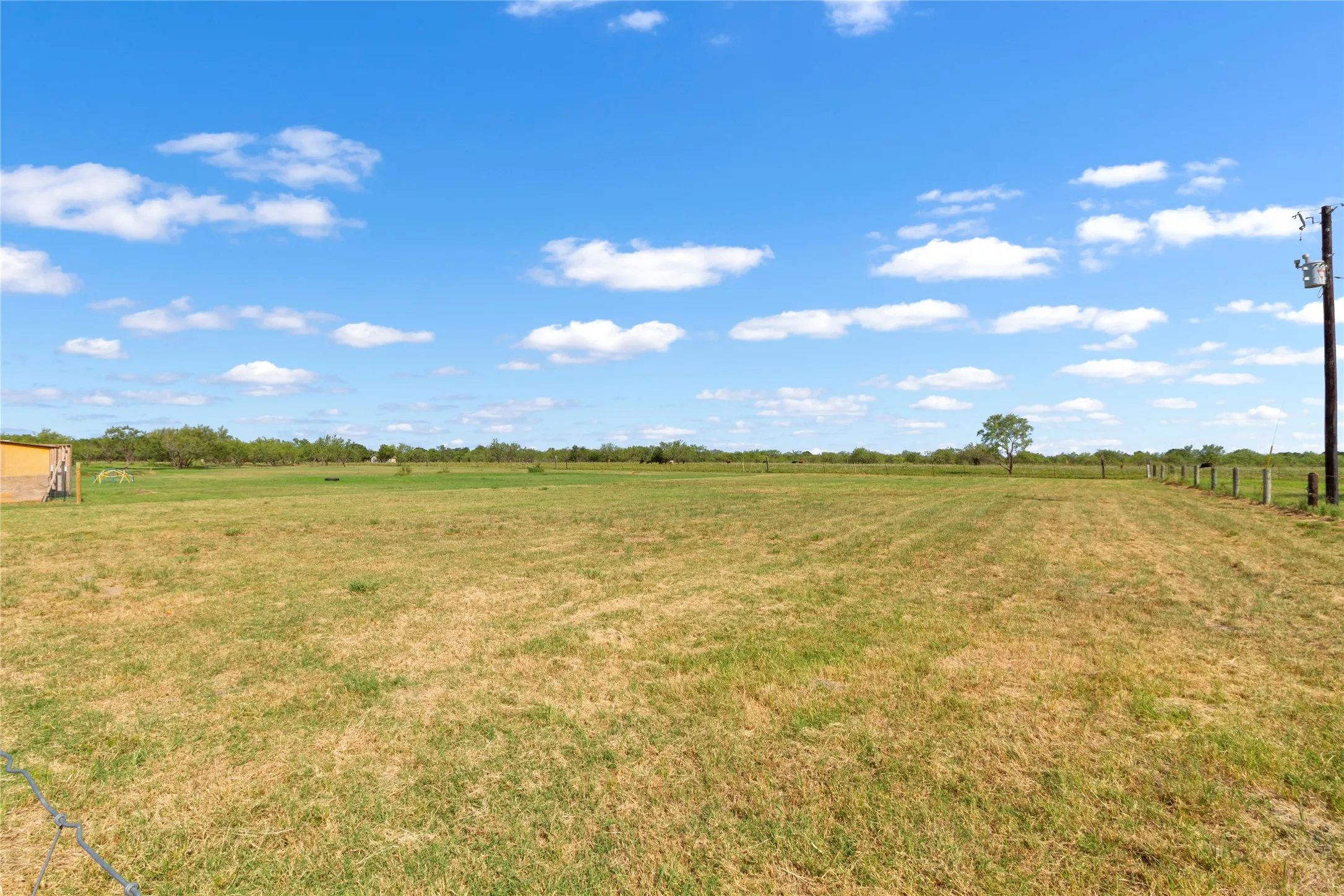 Expansive open land featuring a single mature tree, a perimeter fence with wooden posts, and a utility pole