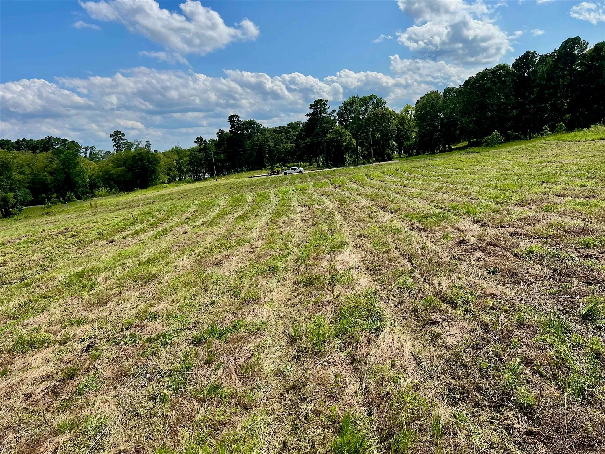 Unimproved Land For Sale in Upshur County , Lot 5 PR 3398 Road, Big Sandy, Texas 75755, 0, 0, Garage spaces, 0 Sqft, built in 0, Price $55,000, mls#21347556, Real Estate Agent in Big Sandy, Homes For Sale in Upshur county, Homes For Sale in Big Sandy, Realtor in Big Sandy Texas, Real Estate Brokerage Independent Realty Texas, Luminita Cordes Realtor