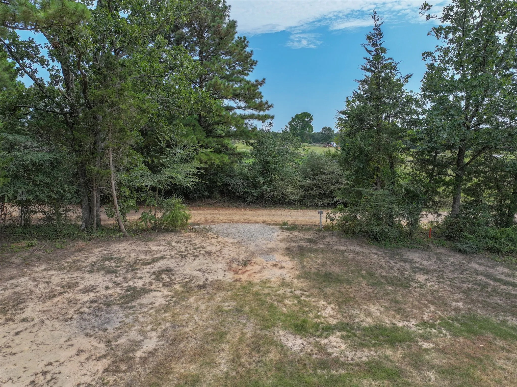Improved Land For Sale in Bowie County , 2568 County Road 4234, De Kalb, Texas 75559, 0, 0, Garage spaces, 0 Sqft, built in 0, mls#21347588, Real Estate Agent in De Kalb, Homes For Sale in Bowie county, Homes For Sale in De Kalb, Realtor in De Kalb Texas, Real Estate Brokerage Independent Realty Texas, Luminita Cordes Realtor