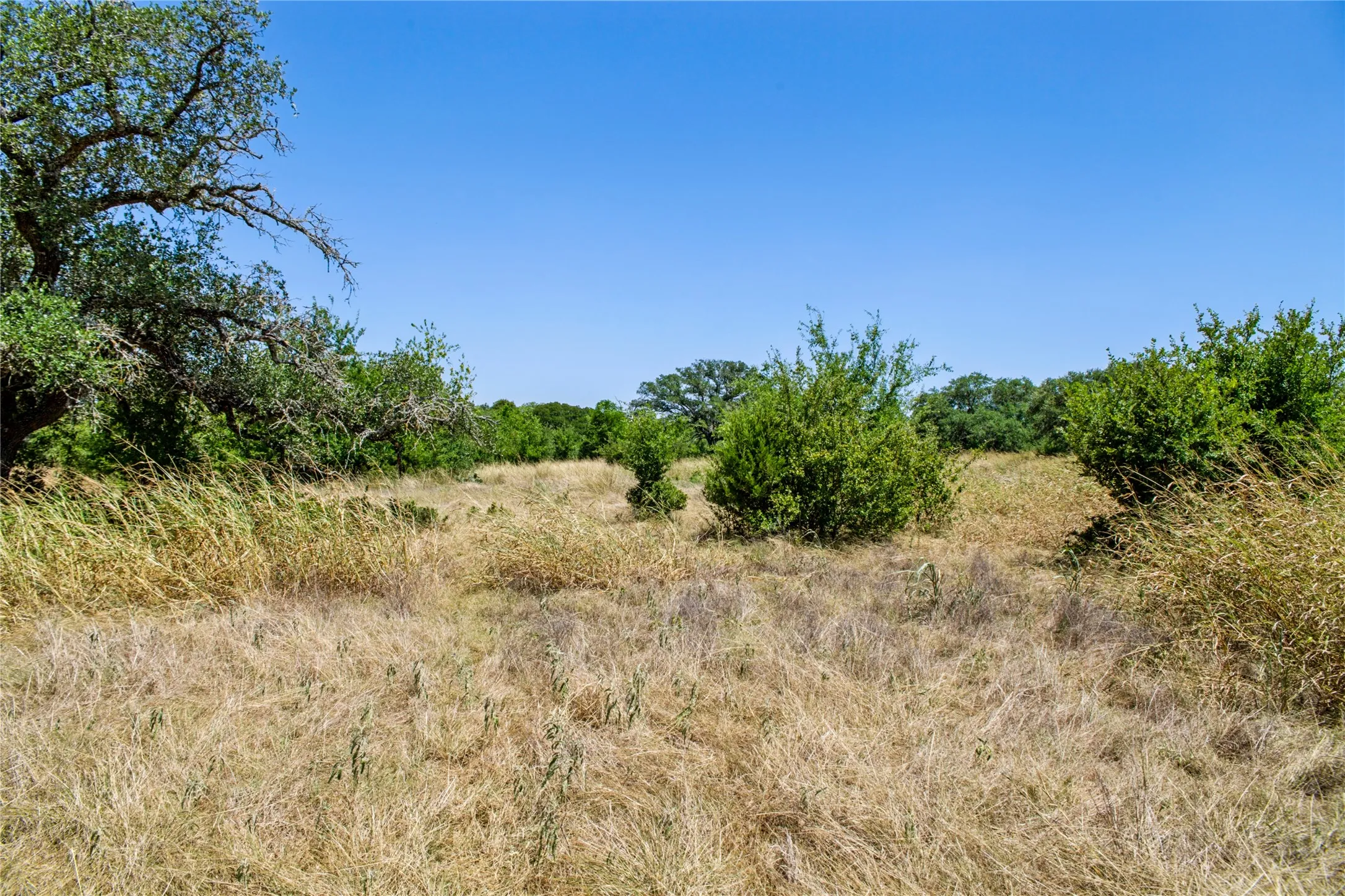 Unimproved Land For Sale in Coryell County , 461 Grand Canyon Drive, Oglesby, Texas 76561, 0, 0, Garage spaces, 0 Sqft, built in 0, Price $170,000, mls#21345620, Real Estate Agent in Oglesby, Homes For Sale in Coryell county, Homes For Sale in Oglesby, Realtor in Oglesby Texas, Real Estate Brokerage Independent Realty Texas, Luminita Cordes Realtor