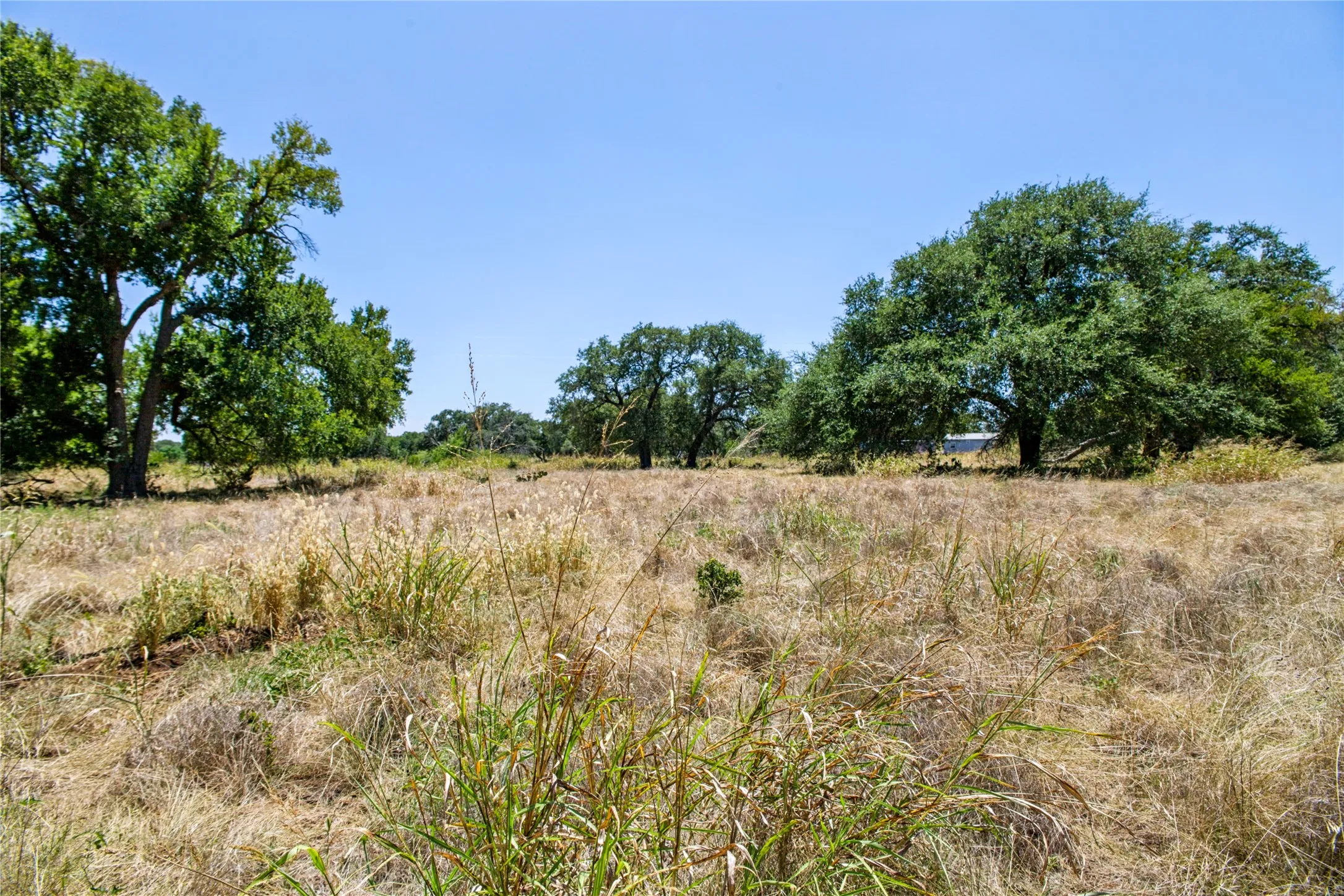 Unimproved Land For Sale in Coryell County , 461 Grand Canyon Drive, Oglesby, Texas 76561, 0, 0, Garage spaces, 0 Sqft, built in 0, Price $170,000, mls#21345620, Real Estate Agent in Oglesby, Homes For Sale in Coryell county, Homes For Sale in Oglesby, Realtor in Oglesby Texas, Real Estate Brokerage Independent Realty Texas, Luminita Cordes Realtor