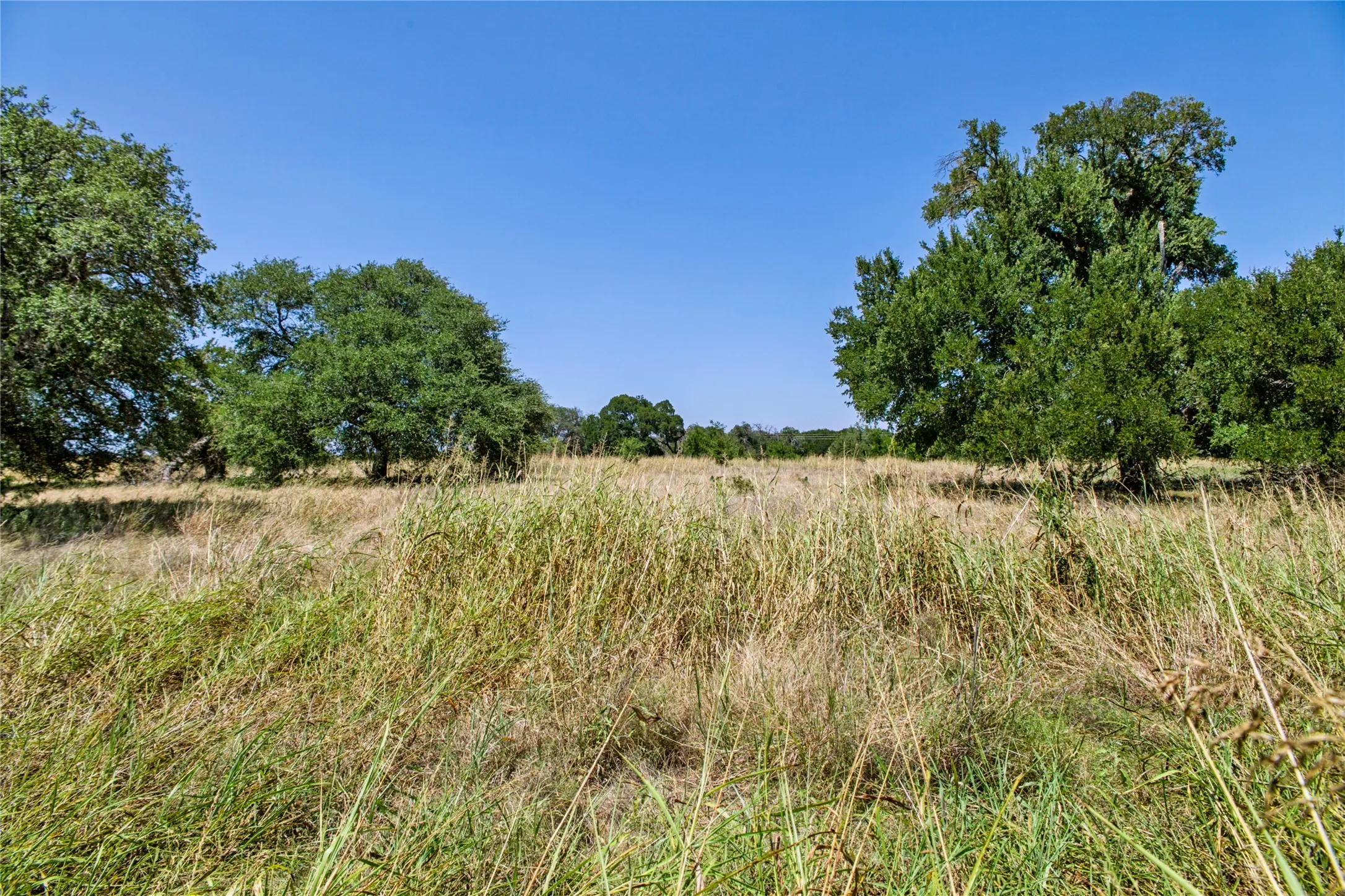 Unimproved Land For Sale in Coryell County , 461 Grand Canyon Drive, Oglesby, Texas 76561, 0, 0, Garage spaces, 0 Sqft, built in 0, Price $170,000, mls#21345620, Real Estate Agent in Oglesby, Homes For Sale in Coryell county, Homes For Sale in Oglesby, Realtor in Oglesby Texas, Real Estate Brokerage Independent Realty Texas, Luminita Cordes Realtor
