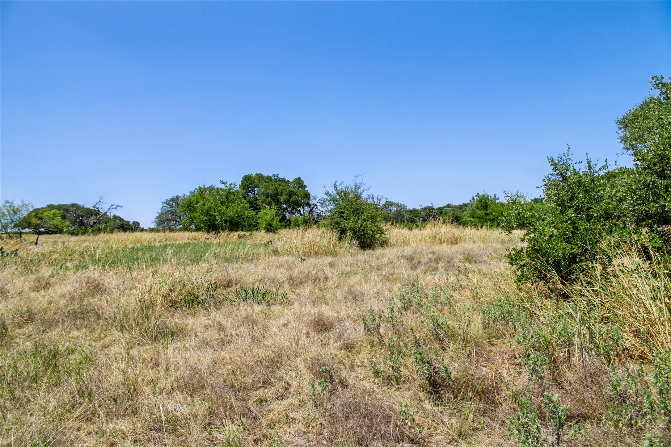Unimproved Land For Sale in Coryell County , 461 Grand Canyon Drive, Oglesby, Texas 76561, 0, 0, Garage spaces, 0 Sqft, built in 0, Price $170,000, mls#21345620, Real Estate Agent in Oglesby, Homes For Sale in Coryell county, Homes For Sale in Oglesby, Realtor in Oglesby Texas, Real Estate Brokerage Independent Realty Texas, Luminita Cordes Realtor