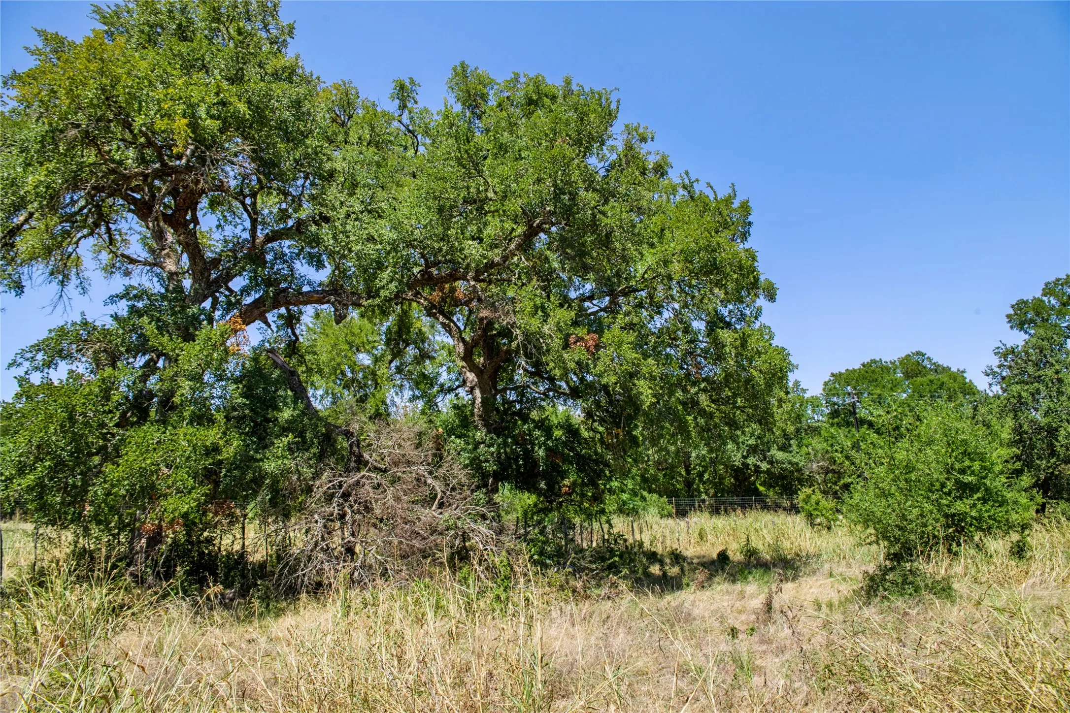 Unimproved Land For Sale in Coryell County , 461 Grand Canyon Drive, Oglesby, Texas 76561, 0, 0, Garage spaces, 0 Sqft, built in 0, Price $170,000, mls#21345620, Real Estate Agent in Oglesby, Homes For Sale in Coryell county, Homes For Sale in Oglesby, Realtor in Oglesby Texas, Real Estate Brokerage Independent Realty Texas, Luminita Cordes Realtor