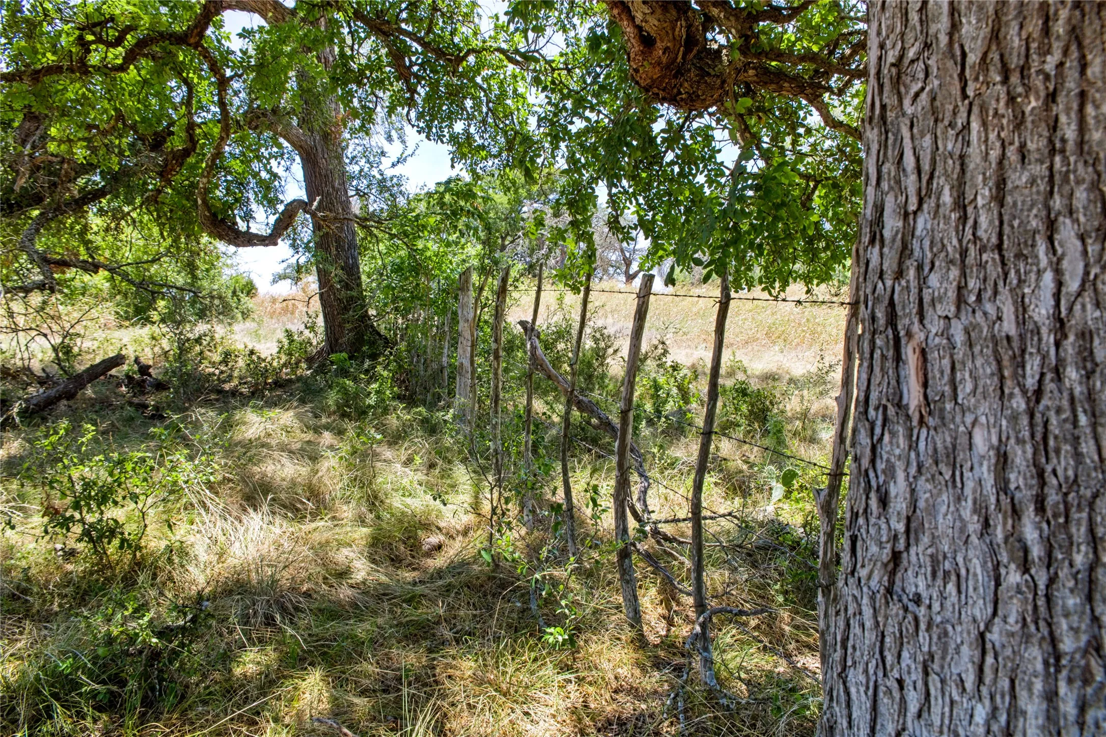 Unimproved Land For Sale in Coryell County , 461 Grand Canyon Drive, Oglesby, Texas 76561, 0, 0, Garage spaces, 0 Sqft, built in 0, Price $170,000, mls#21345620, Real Estate Agent in Oglesby, Homes For Sale in Coryell county, Homes For Sale in Oglesby, Realtor in Oglesby Texas, Real Estate Brokerage Independent Realty Texas, Luminita Cordes Realtor