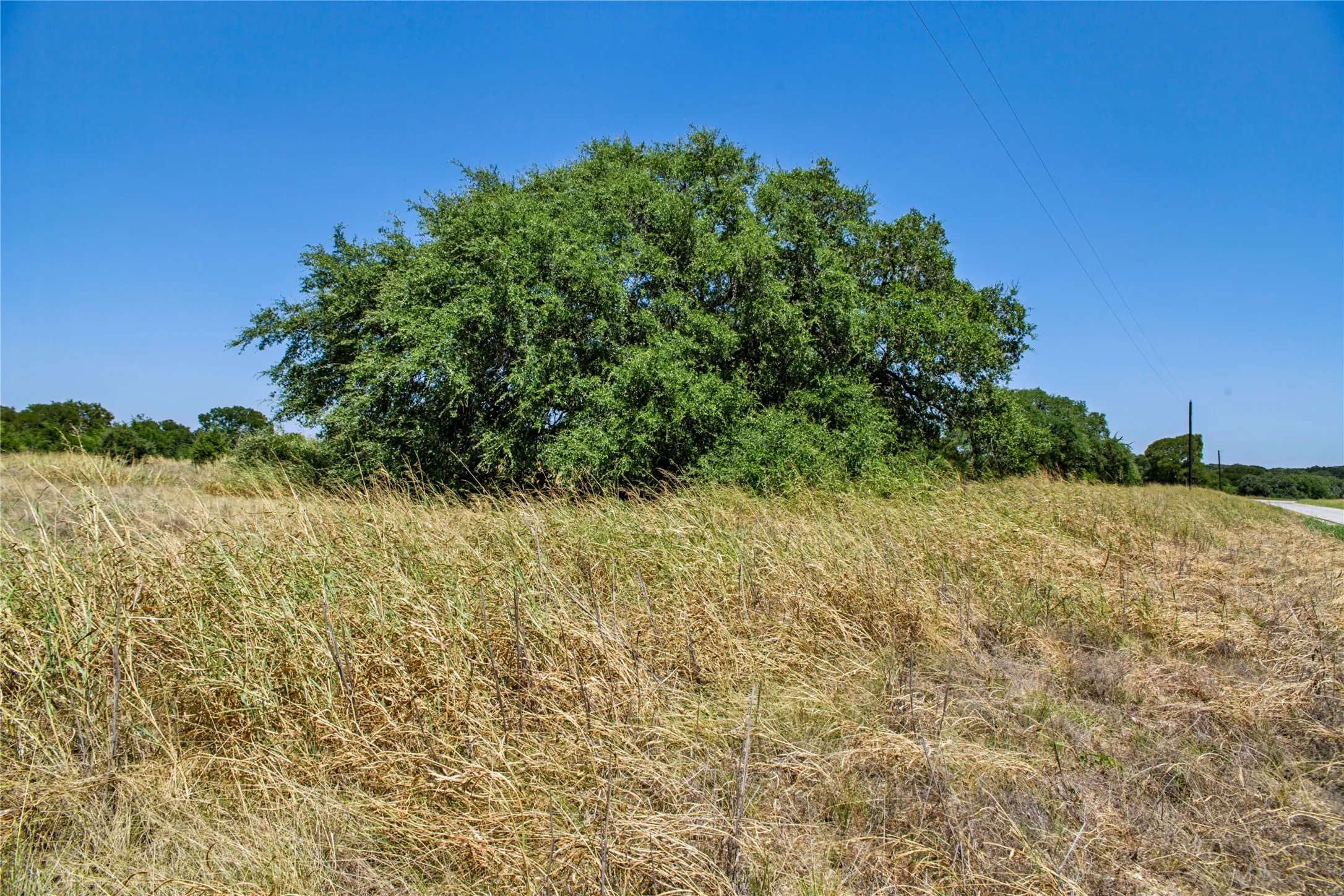 Unimproved Land For Sale in Coryell County , 461 Grand Canyon Drive, Oglesby, Texas 76561, 0, 0, Garage spaces, 0 Sqft, built in 0, Price $170,000, mls#21345620, Real Estate Agent in Oglesby, Homes For Sale in Coryell county, Homes For Sale in Oglesby, Realtor in Oglesby Texas, Real Estate Brokerage Independent Realty Texas, Luminita Cordes Realtor