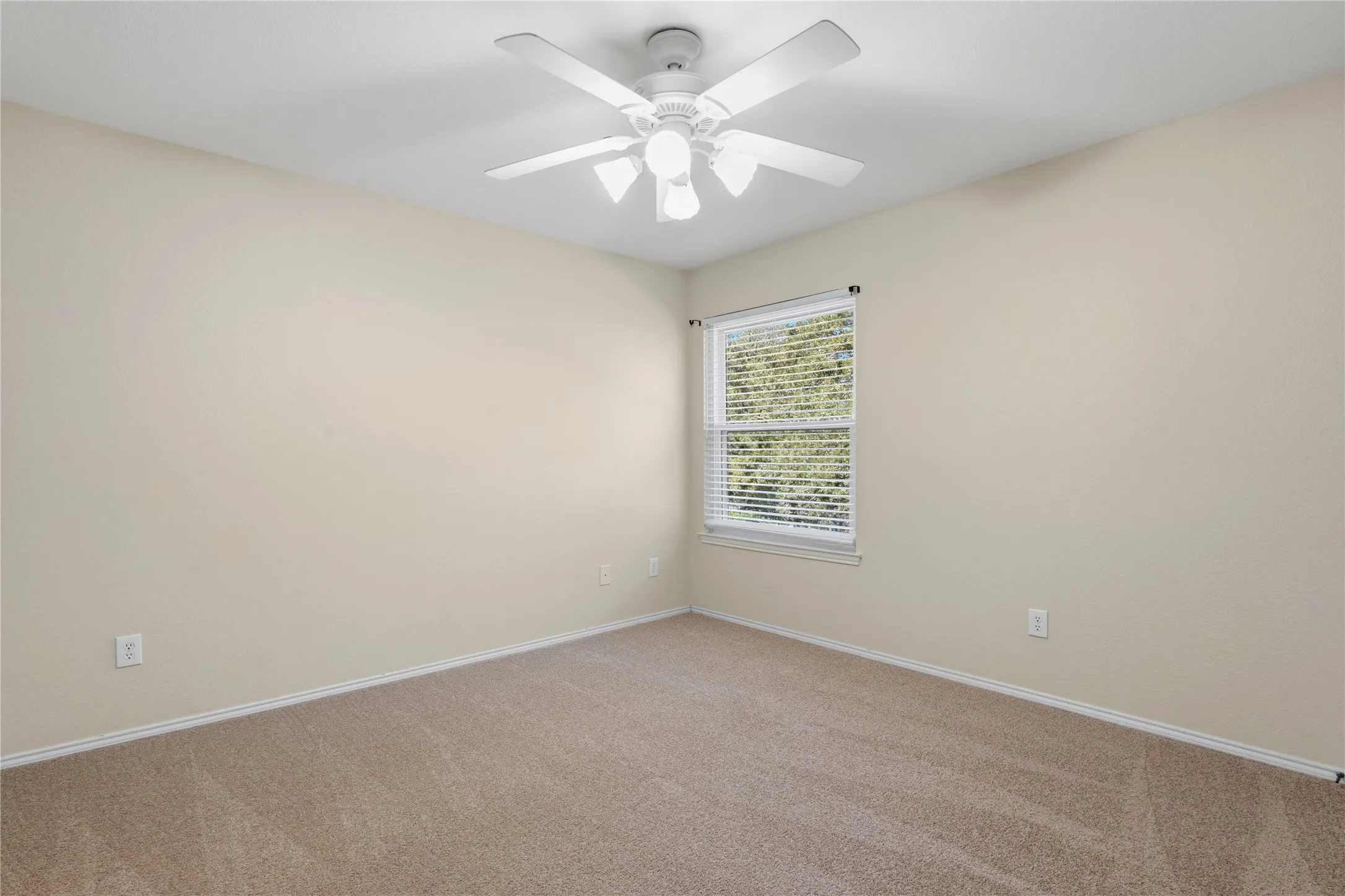 Neutral-toned room featuring a single window with blinds, a ceiling fan with light fixture, and plush carpet flooring