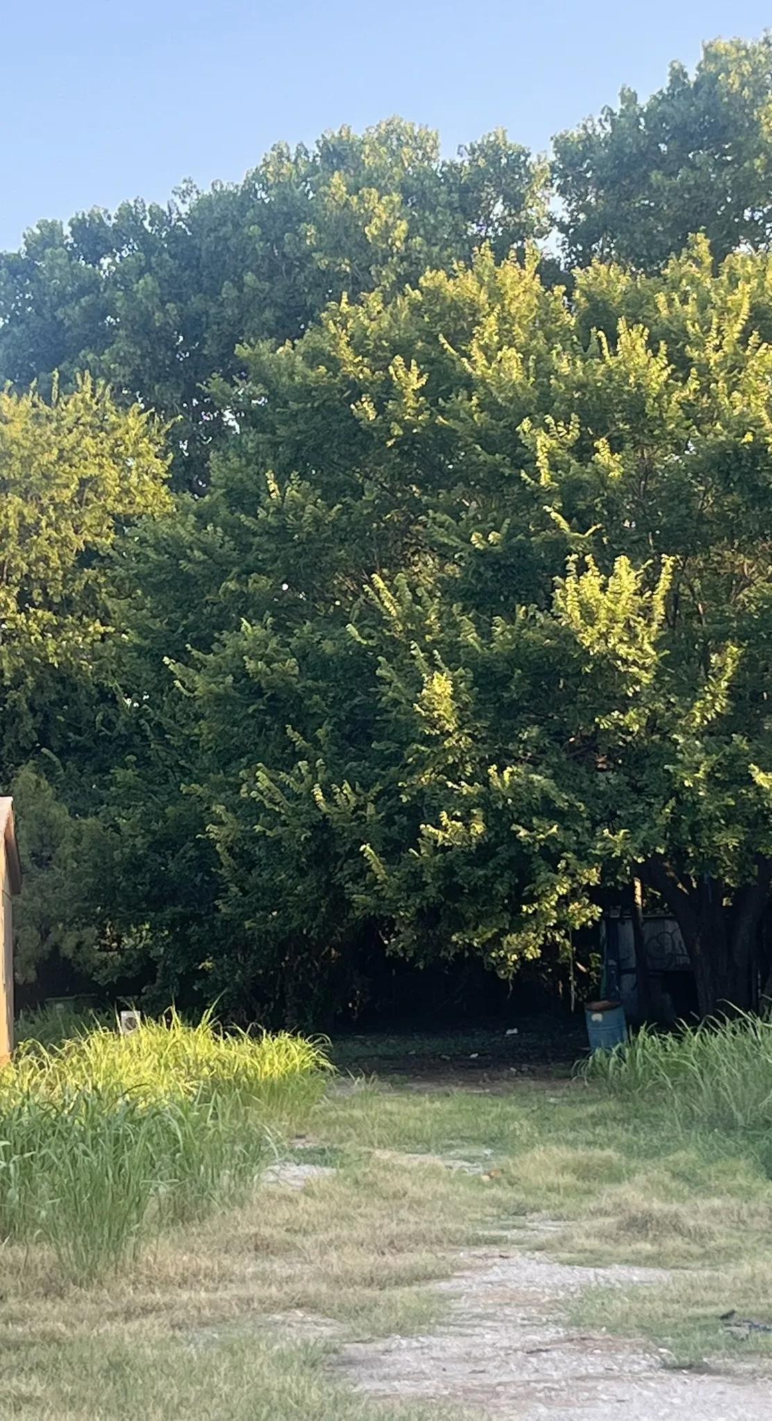 Improved Land For Sale in Parker County , 101 Brook Court, Springtown, Texas 76082, 0, 0, Garage spaces, 0 Sqft, built in 2000, mls#21346425, Real Estate Agent in Springtown, Homes For Sale in Parker county, Homes For Sale in Springtown, Realtor in Springtown Texas, Real Estate Brokerage Independent Realty Texas, Luminita Cordes Realtor