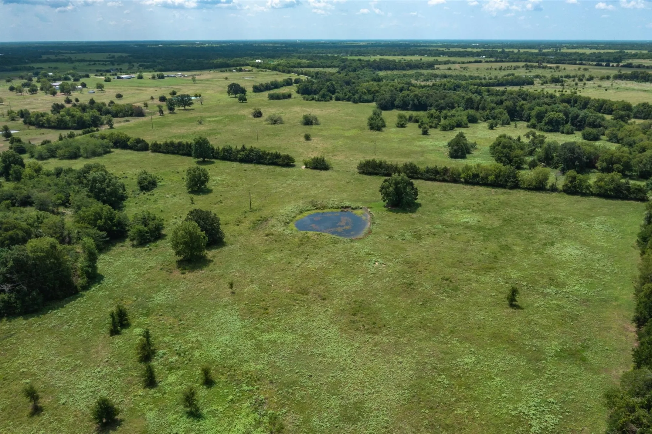 Unimproved Land For Sale in Van Zandt County , TBD VZ CR 3812, Wills Point, Texas 75169, 0, 0, Garage spaces, 0 Sqft, built in 0, mls#21344908, Real Estate Agent in Wills Point, Homes For Sale in Van Zandt county, Homes For Sale in Wills Point, Realtor in Wills Point Texas, Real Estate Brokerage Independent Realty Texas, Luminita Cordes Realtor