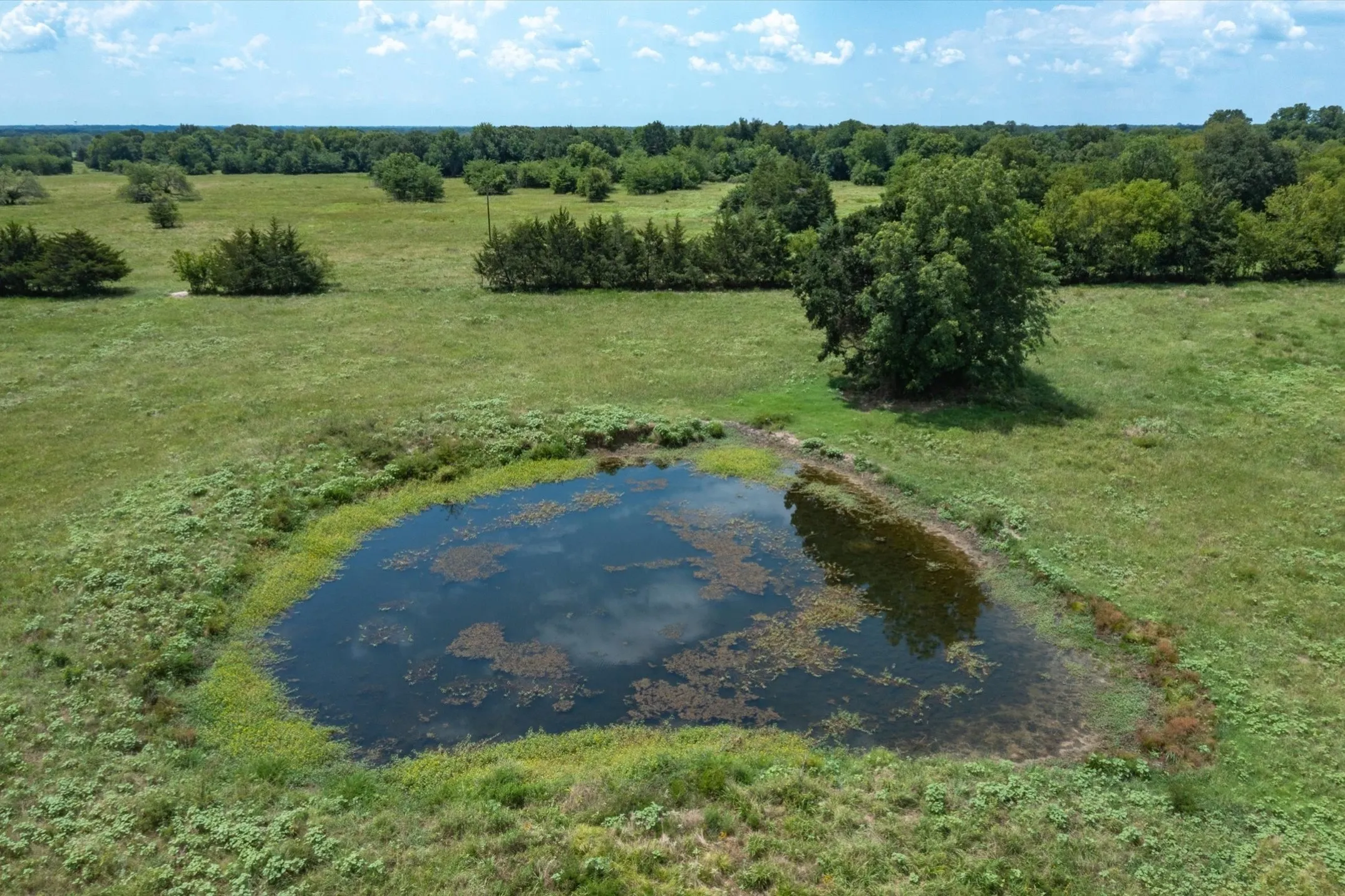 Unimproved Land For Sale in Van Zandt County , TBD VZ CR 3812, Wills Point, Texas 75169, 0, 0, Garage spaces, 0 Sqft, built in 0, mls#21344908, Real Estate Agent in Wills Point, Homes For Sale in Van Zandt county, Homes For Sale in Wills Point, Realtor in Wills Point Texas, Real Estate Brokerage Independent Realty Texas, Luminita Cordes Realtor