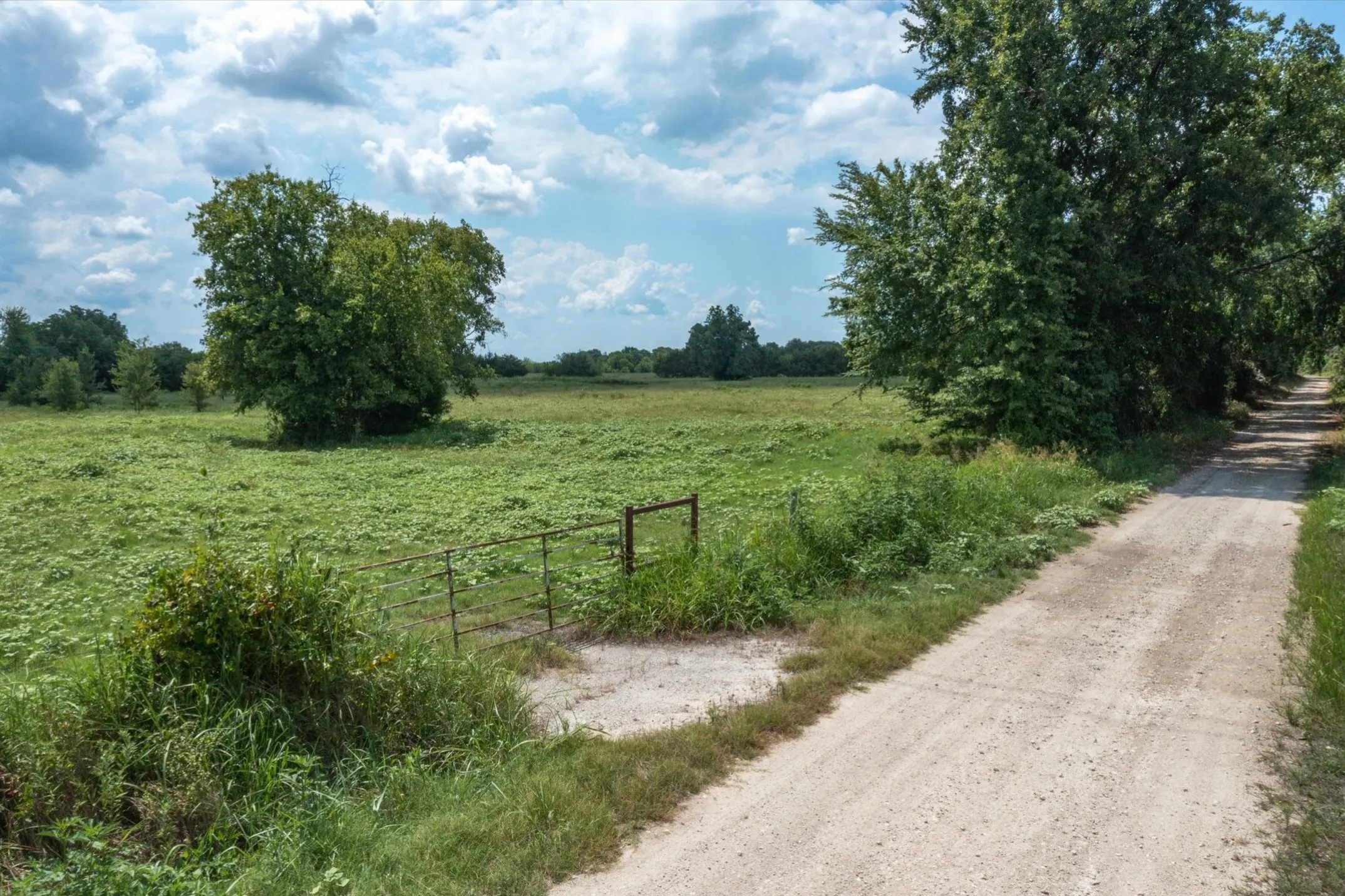 Unimproved Land For Sale in Van Zandt County , TBD VZ CR 3812, Wills Point, Texas 75169, 0, 0, Garage spaces, 0 Sqft, built in 0, mls#21344908, Real Estate Agent in Wills Point, Homes For Sale in Van Zandt county, Homes For Sale in Wills Point, Realtor in Wills Point Texas, Real Estate Brokerage Independent Realty Texas, Luminita Cordes Realtor