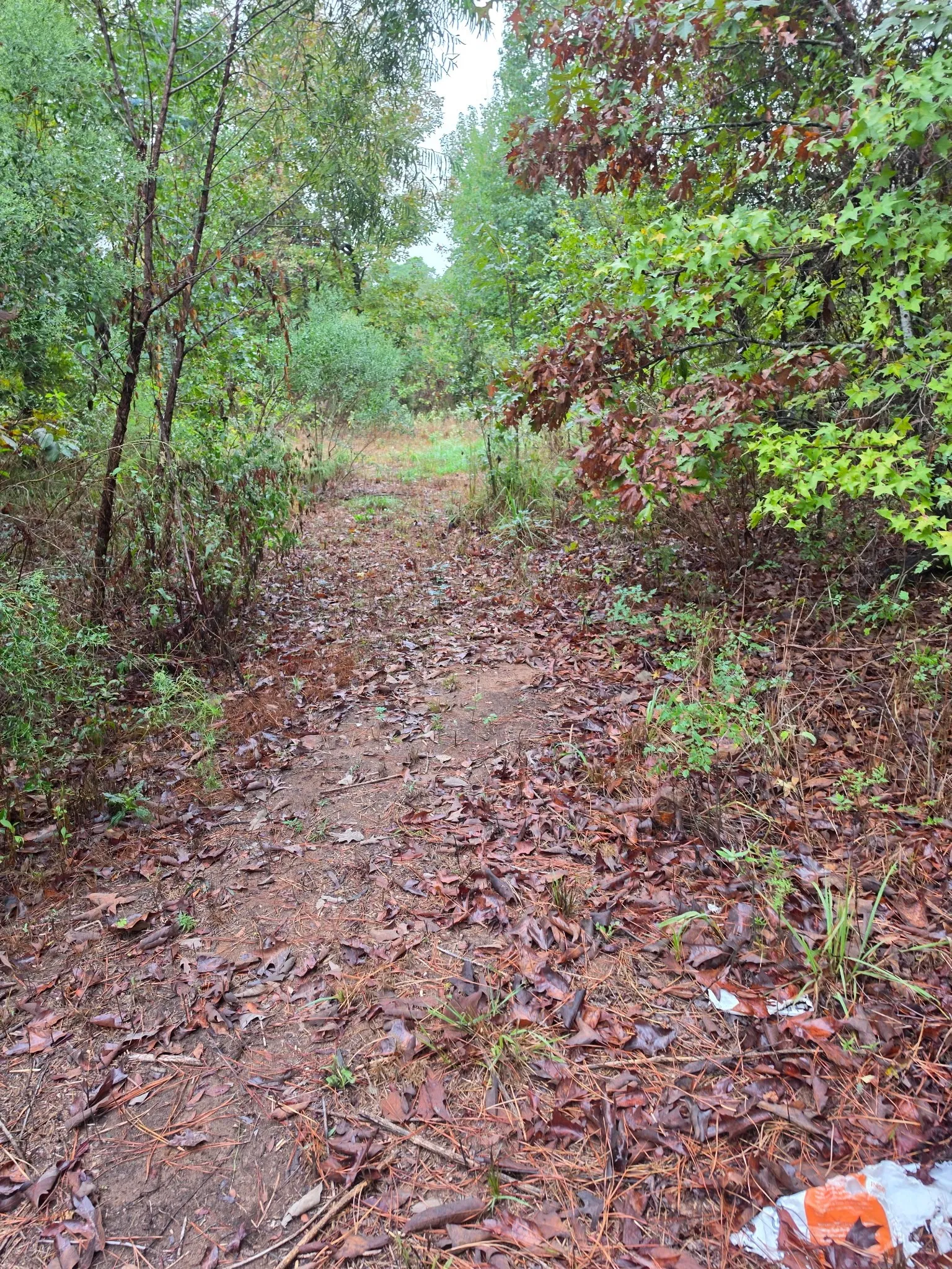 Improved Land For Sale in Marion County , 551 Pleasure Point Rd, No City, Texas 75668, 0, 0, Garage spaces, 0 Sqft, built in 0, mls#21347634, Real Estate Agent in No City, Homes For Sale in Marion county, Homes For Sale in No City, Realtor in No City Texas, Real Estate Brokerage Independent Realty Texas, Luminita Cordes Realtor