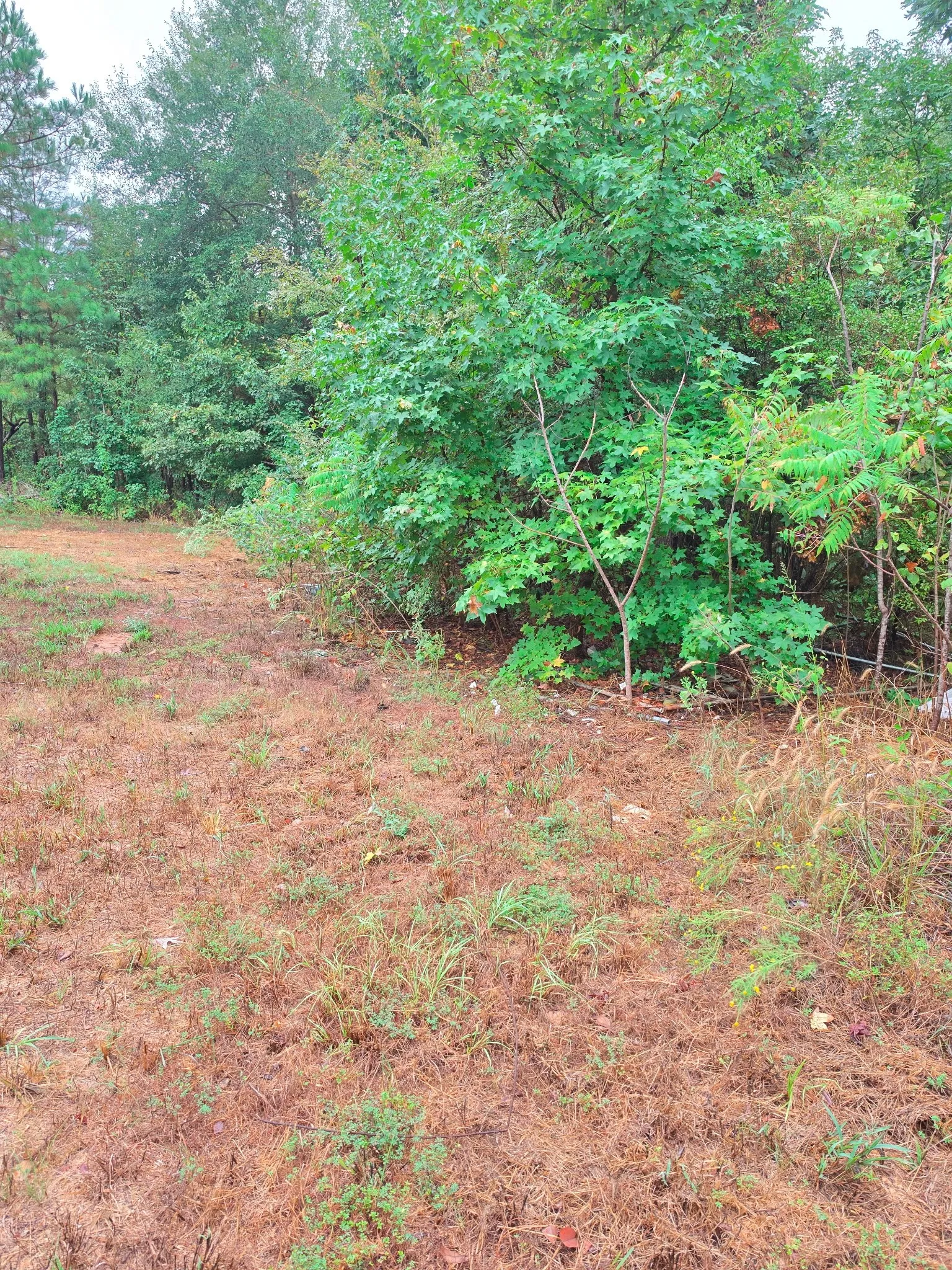 Improved Land For Sale in Marion County , 551 Pleasure Point Rd, No City, Texas 75668, 0, 0, Garage spaces, 0 Sqft, built in 0, mls#21347634, Real Estate Agent in No City, Homes For Sale in Marion county, Homes For Sale in No City, Realtor in No City Texas, Real Estate Brokerage Independent Realty Texas, Luminita Cordes Realtor