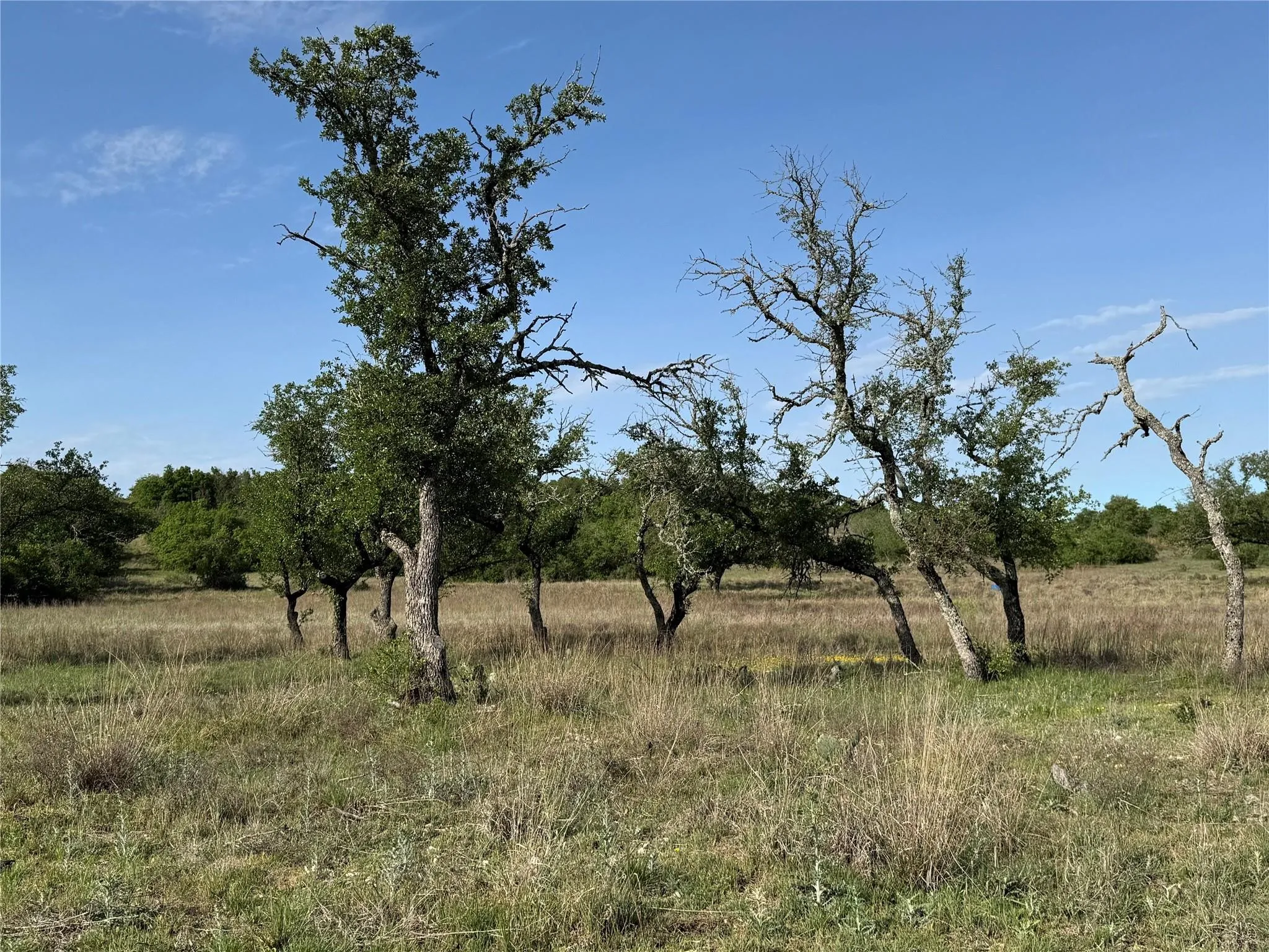 Unimproved Land For Sale in Hamilton County , Tract 21 Indian Spring, Hamilton, Texas 76531, 0, 0, Garage spaces, 0 Sqft, built in 0, Price $135,000, mls#21347649, Real Estate Agent in Hamilton, Homes For Sale in Hamilton county, Homes For Sale in Hamilton, Realtor in Hamilton Texas, Real Estate Brokerage Independent Realty Texas, Luminita Cordes Realtor