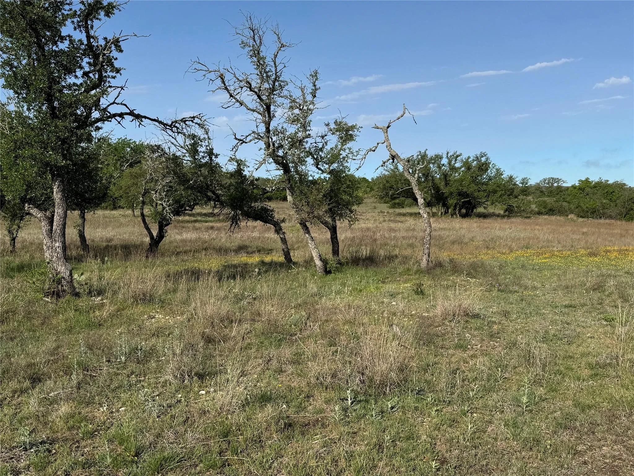 Unimproved Land For Sale in Hamilton County , Tract 21 Indian Spring, Hamilton, Texas 76531, 0, 0, Garage spaces, 0 Sqft, built in 0, Price $135,000, mls#21347649, Real Estate Agent in Hamilton, Homes For Sale in Hamilton county, Homes For Sale in Hamilton, Realtor in Hamilton Texas, Real Estate Brokerage Independent Realty Texas, Luminita Cordes Realtor