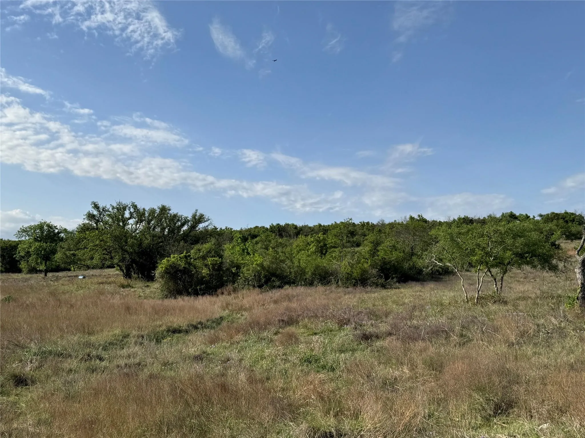 Unimproved Land For Sale in Hamilton County , Tract 21 Indian Spring, Hamilton, Texas 76531, 0, 0, Garage spaces, 0 Sqft, built in 0, Price $135,000, mls#21347649, Real Estate Agent in Hamilton, Homes For Sale in Hamilton county, Homes For Sale in Hamilton, Realtor in Hamilton Texas, Real Estate Brokerage Independent Realty Texas, Luminita Cordes Realtor