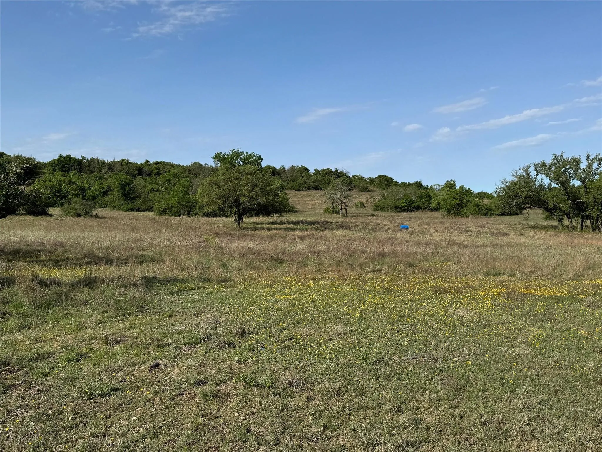 Unimproved Land For Sale in Hamilton County , Tract 21 Indian Spring, Hamilton, Texas 76531, 0, 0, Garage spaces, 0 Sqft, built in 0, Price $135,000, mls#21347649, Real Estate Agent in Hamilton, Homes For Sale in Hamilton county, Homes For Sale in Hamilton, Realtor in Hamilton Texas, Real Estate Brokerage Independent Realty Texas, Luminita Cordes Realtor