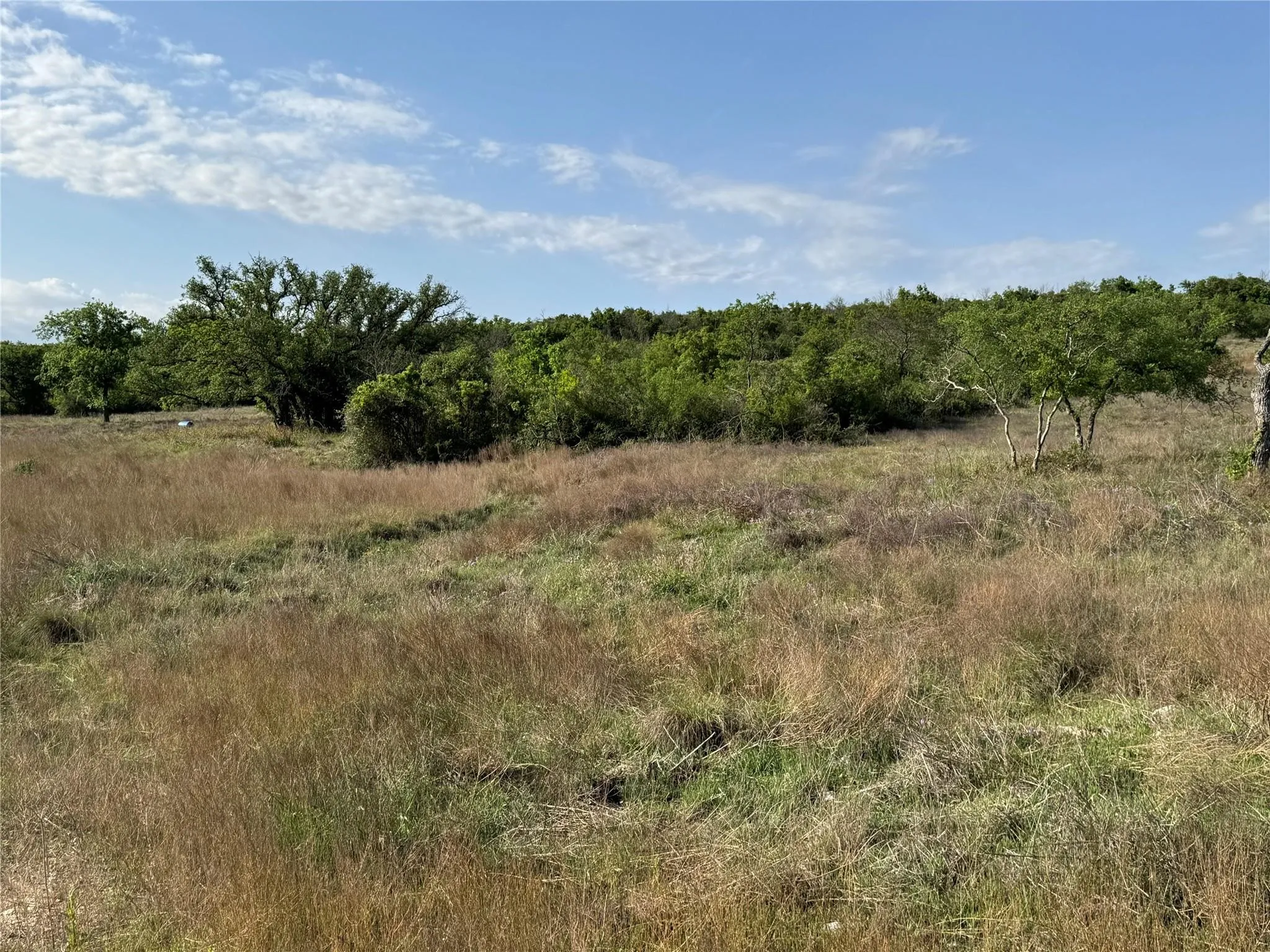 Unimproved Land For Sale in Hamilton County , Tract 21 Indian Spring, Hamilton, Texas 76531, 0, 0, Garage spaces, 0 Sqft, built in 0, Price $135,000, mls#21347649, Real Estate Agent in Hamilton, Homes For Sale in Hamilton county, Homes For Sale in Hamilton, Realtor in Hamilton Texas, Real Estate Brokerage Independent Realty Texas, Luminita Cordes Realtor