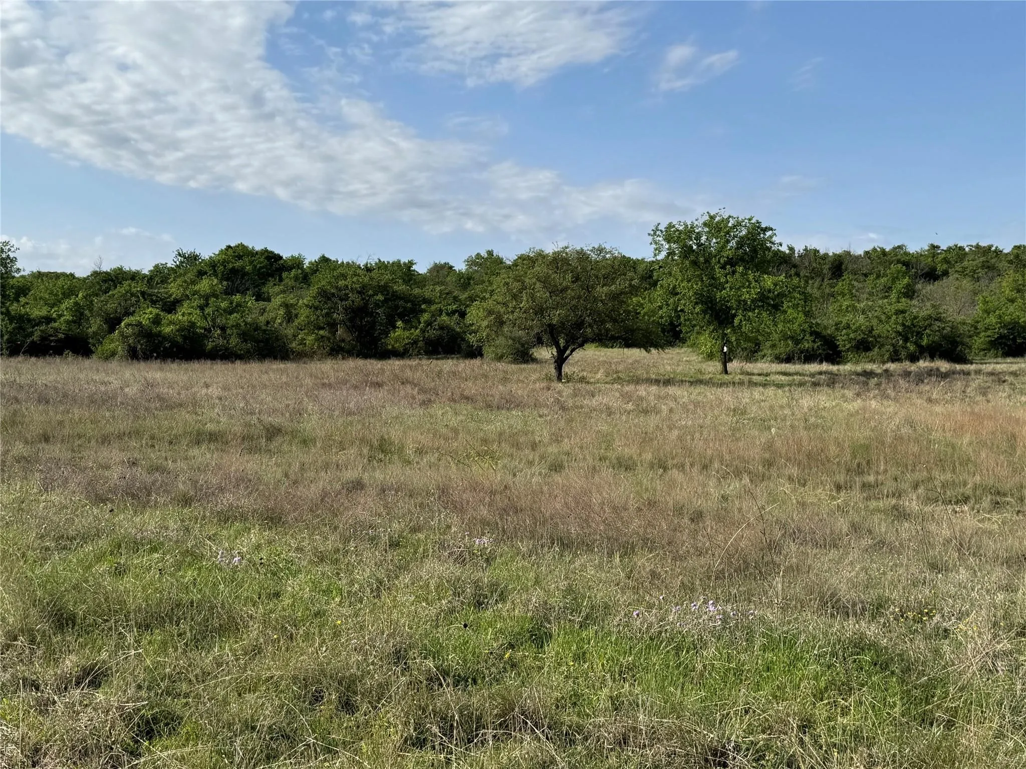 Unimproved Land For Sale in Hamilton County , Tract 21 Indian Spring, Hamilton, Texas 76531, 0, 0, Garage spaces, 0 Sqft, built in 0, Price $135,000, mls#21347649, Real Estate Agent in Hamilton, Homes For Sale in Hamilton county, Homes For Sale in Hamilton, Realtor in Hamilton Texas, Real Estate Brokerage Independent Realty Texas, Luminita Cordes Realtor