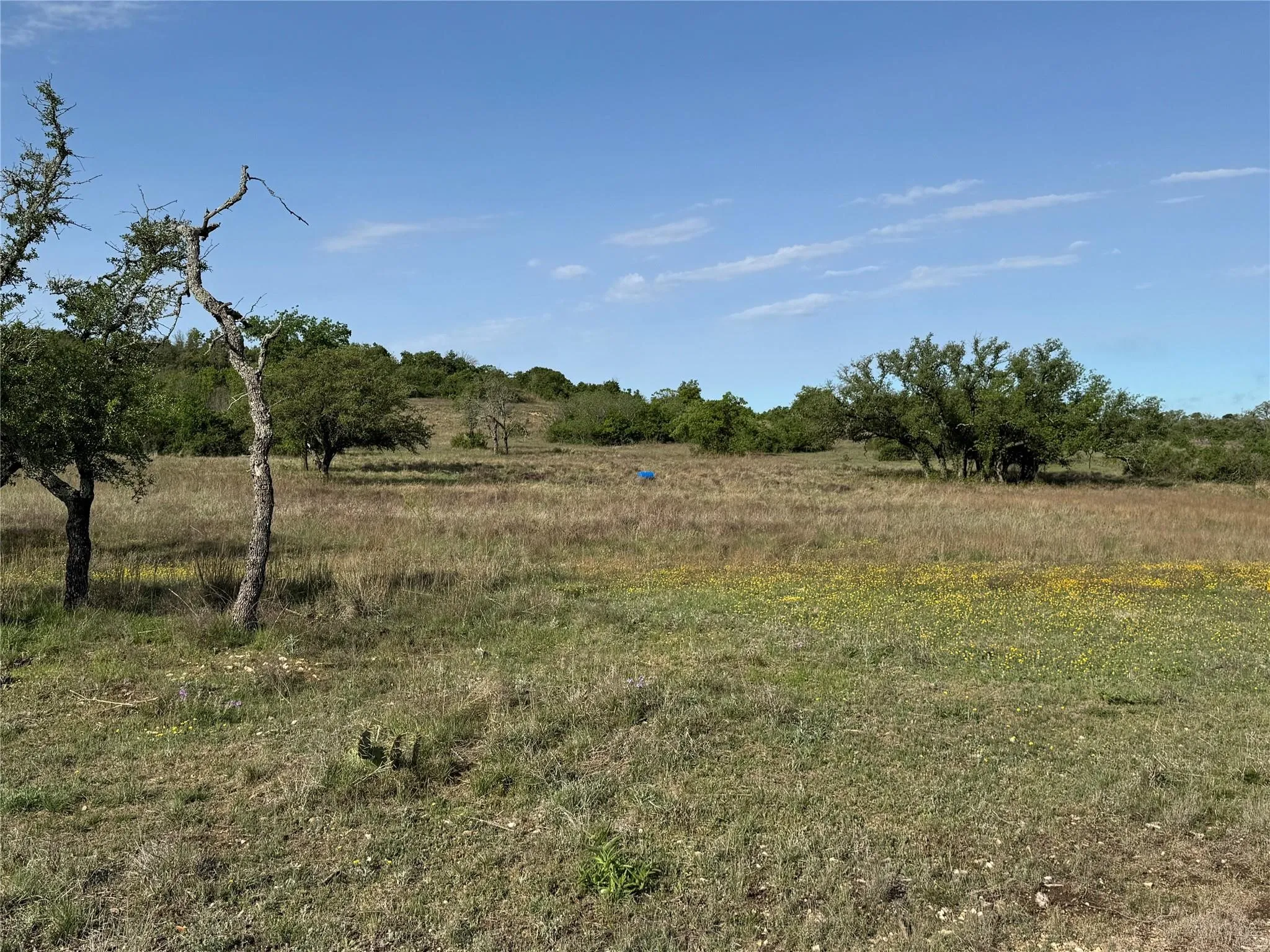 Unimproved Land For Sale in Hamilton County , Tract 21 Indian Spring, Hamilton, Texas 76531, 0, 0, Garage spaces, 0 Sqft, built in 0, Price $135,000, mls#21347649, Real Estate Agent in Hamilton, Homes For Sale in Hamilton county, Homes For Sale in Hamilton, Realtor in Hamilton Texas, Real Estate Brokerage Independent Realty Texas, Luminita Cordes Realtor