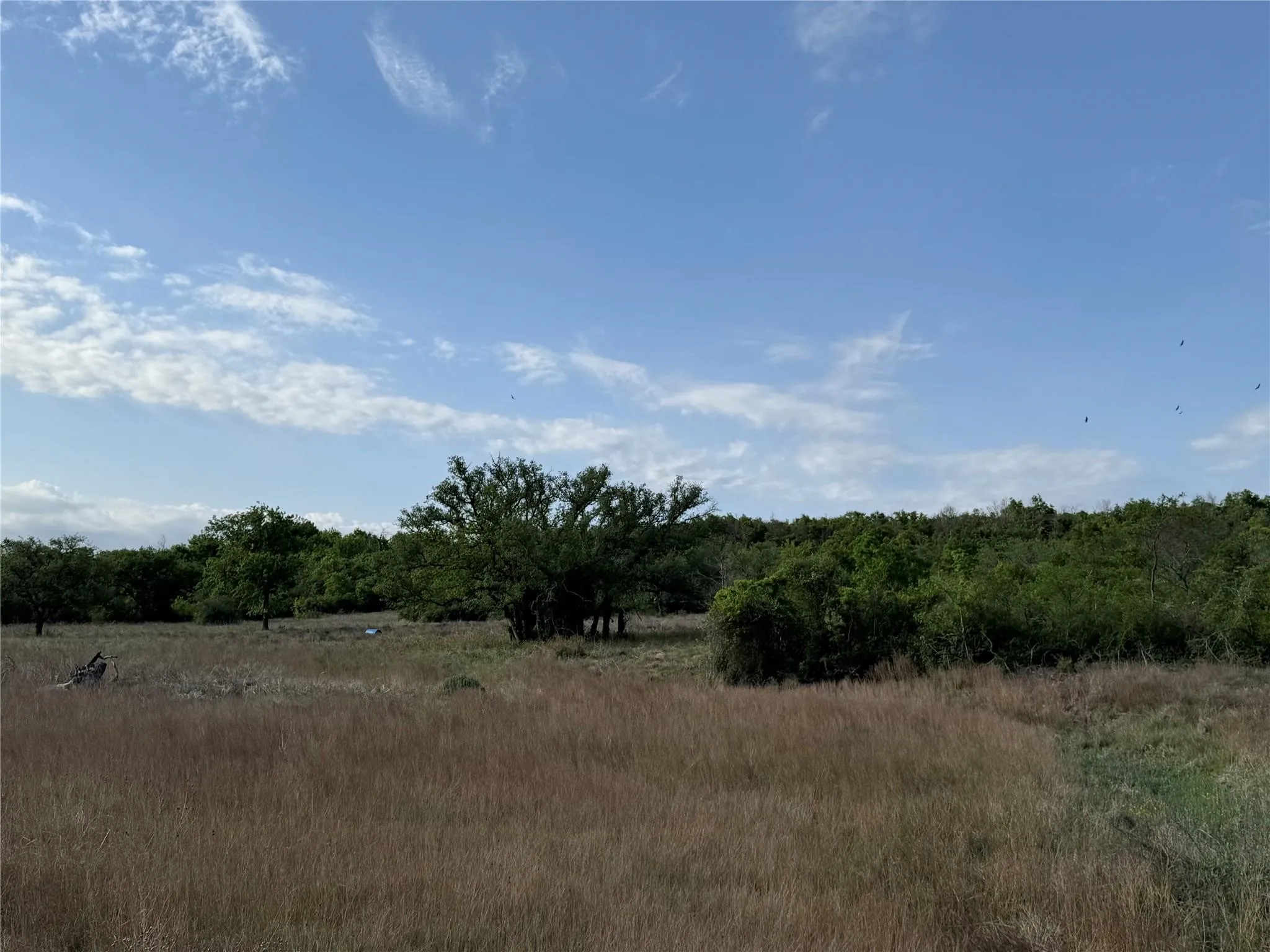 Unimproved Land For Sale in Hamilton County , Tract 21 Indian Spring, Hamilton, Texas 76531, 0, 0, Garage spaces, 0 Sqft, built in 0, Price $135,000, mls#21347649, Real Estate Agent in Hamilton, Homes For Sale in Hamilton county, Homes For Sale in Hamilton, Realtor in Hamilton Texas, Real Estate Brokerage Independent Realty Texas, Luminita Cordes Realtor