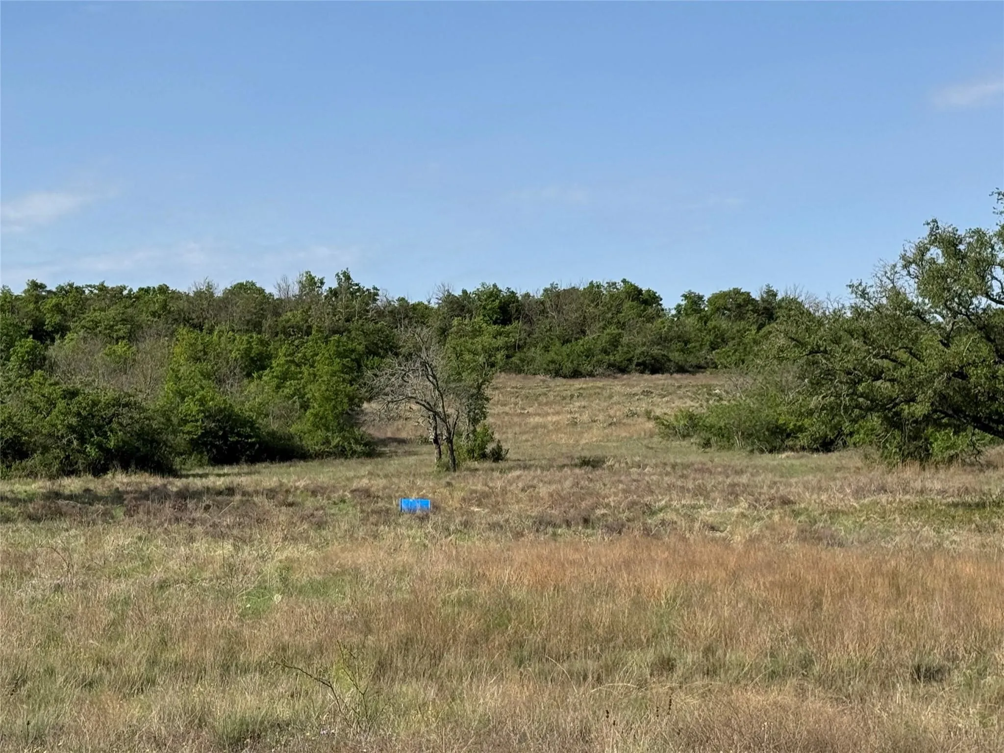 Unimproved Land For Sale in Hamilton County , Tract 21 Indian Spring, Hamilton, Texas 76531, 0, 0, Garage spaces, 0 Sqft, built in 0, Price $135,000, mls#21347649, Real Estate Agent in Hamilton, Homes For Sale in Hamilton county, Homes For Sale in Hamilton, Realtor in Hamilton Texas, Real Estate Brokerage Independent Realty Texas, Luminita Cordes Realtor