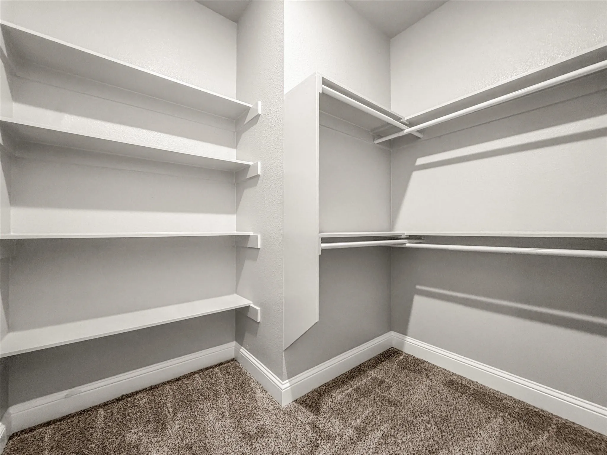 Walk-in closet featuring extensive built-in shelving, multiple hanging rods, neutral wall tones, white trim, and carpet flooring