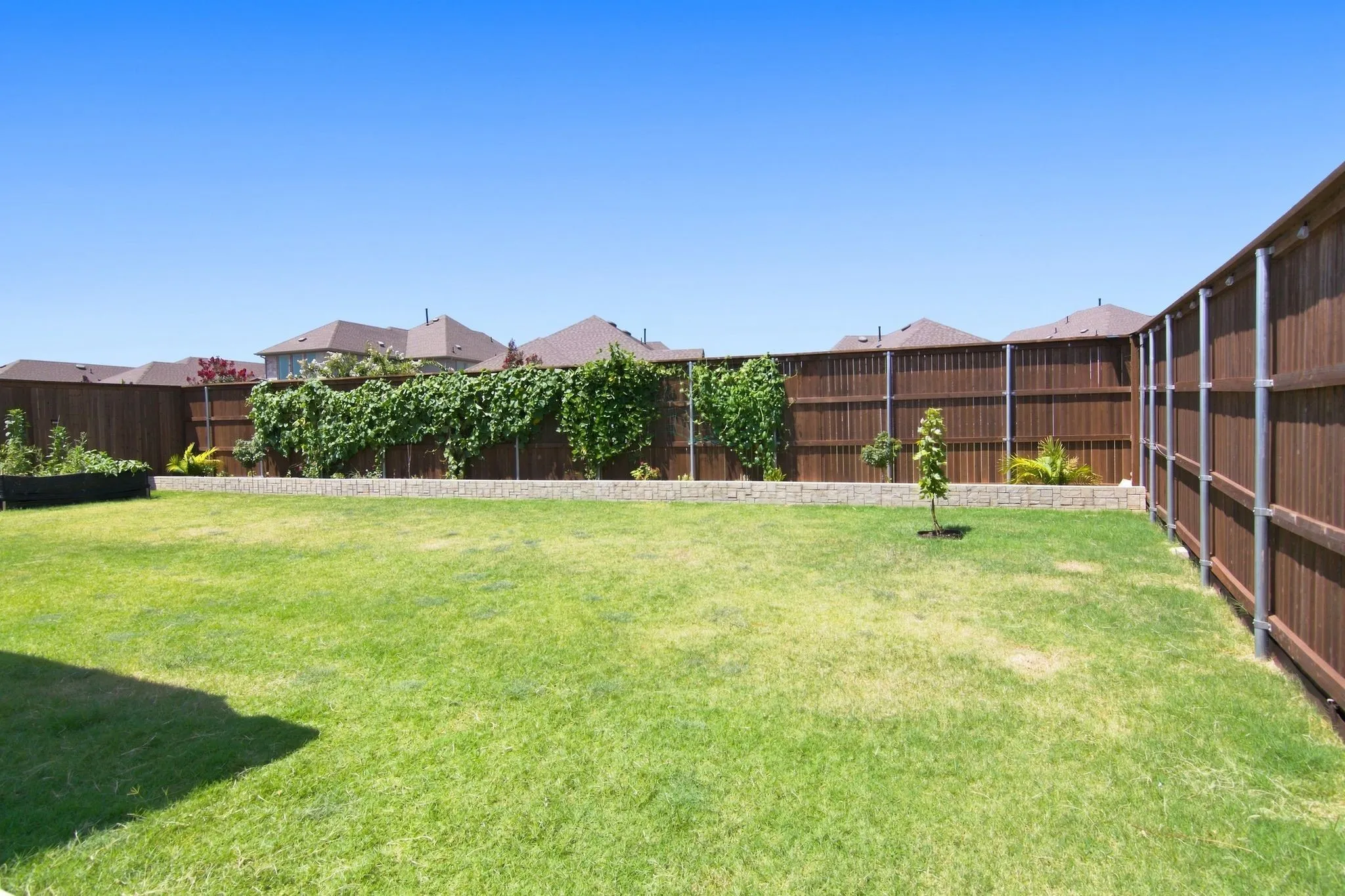 Expansive backyard featuring a manicured lawn bordered by sturdy metal fencing and mature climbing vines