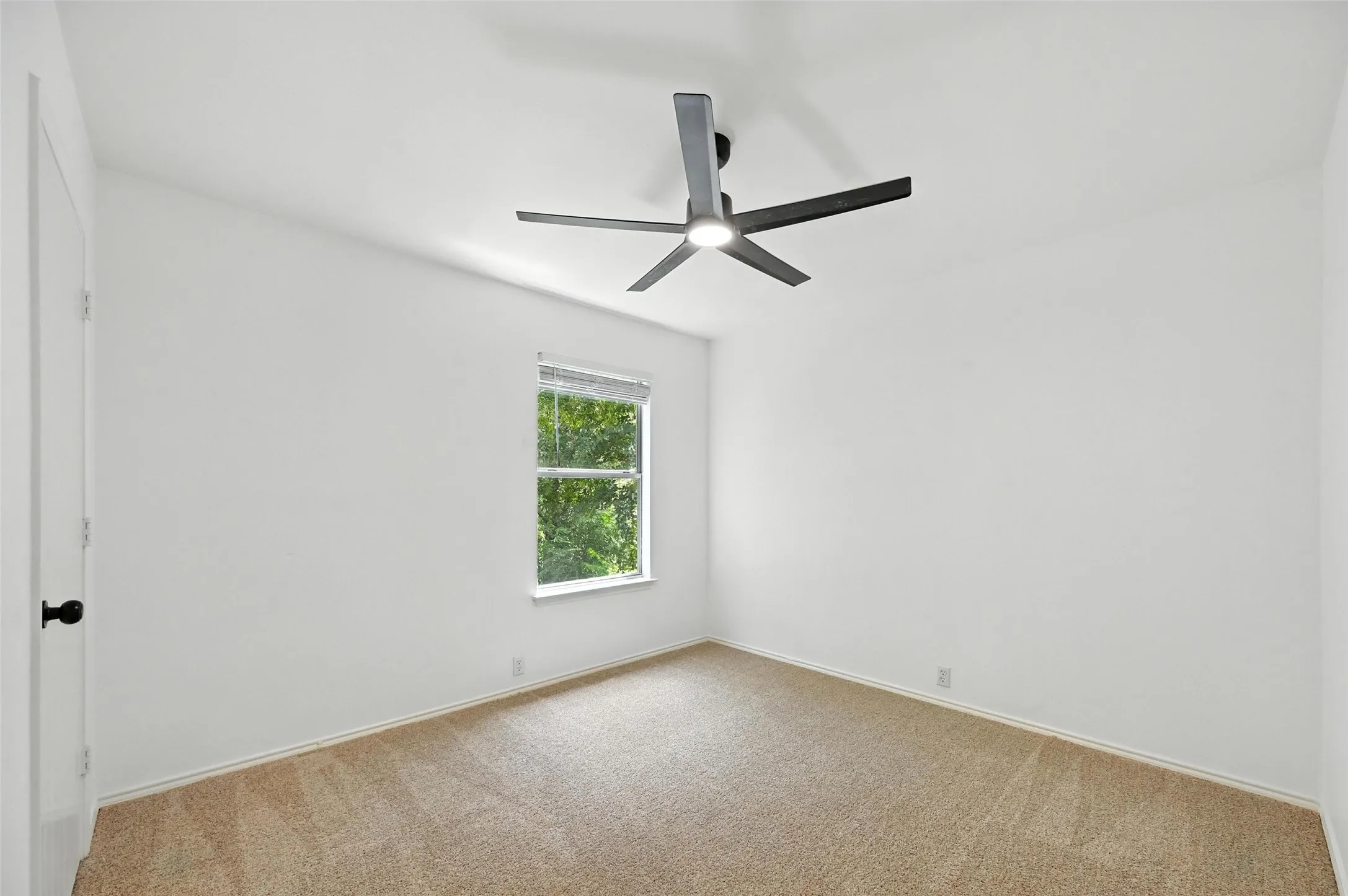 Empty room featuring carpet and ceiling fan