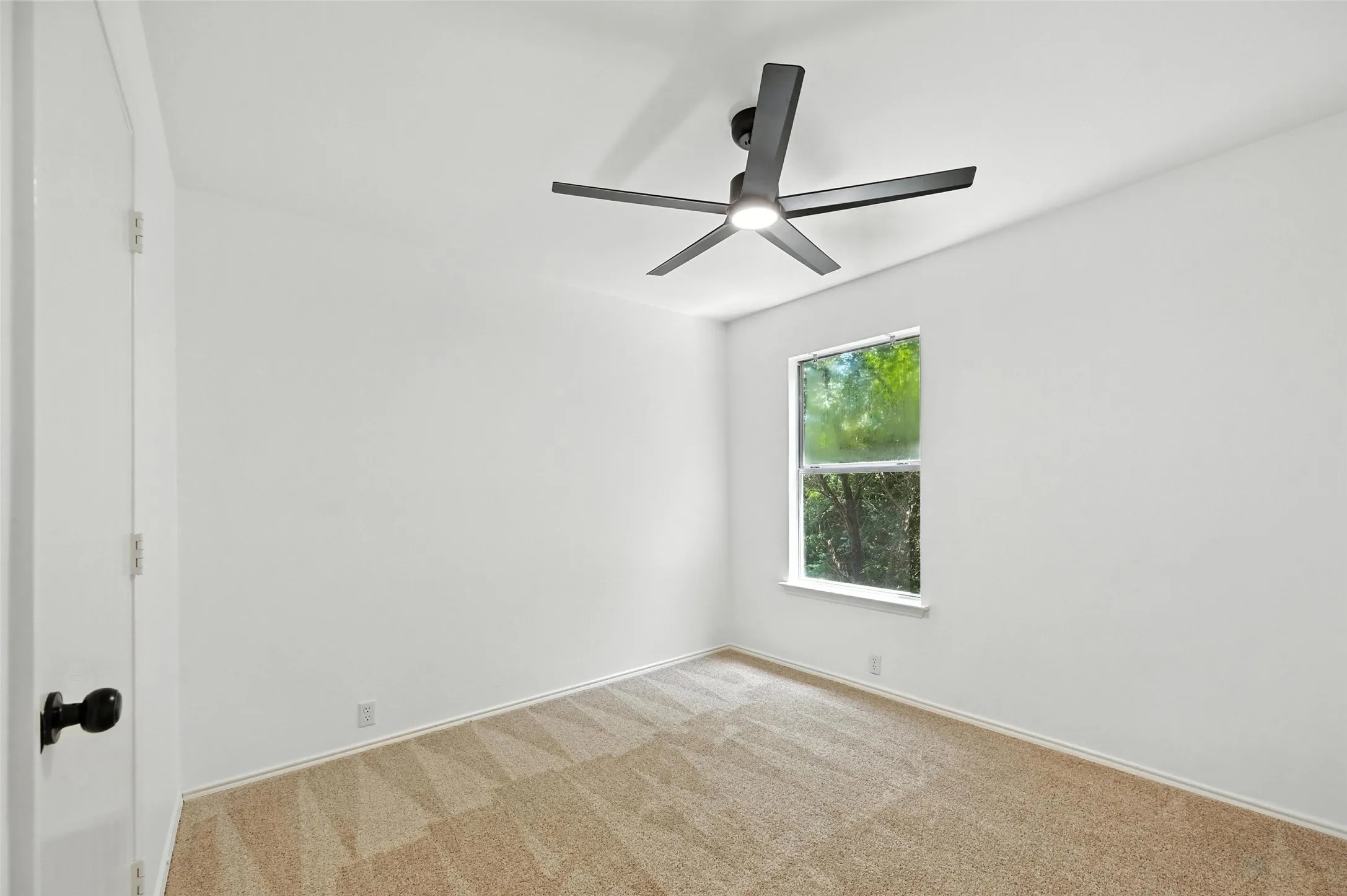 Empty room featuring a ceiling fan and carpet