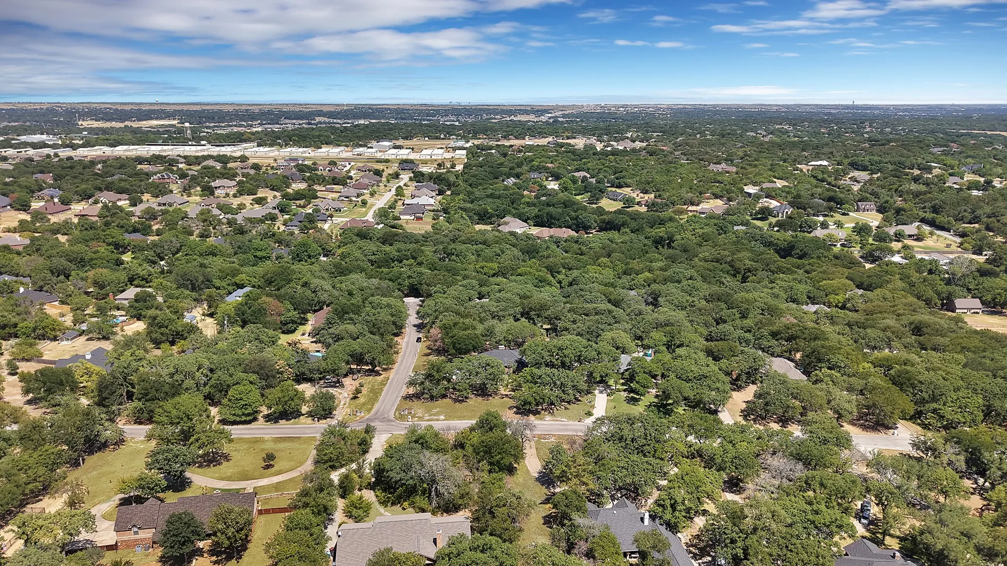 Expansive aerial perspective showcasing a mature tree canopy