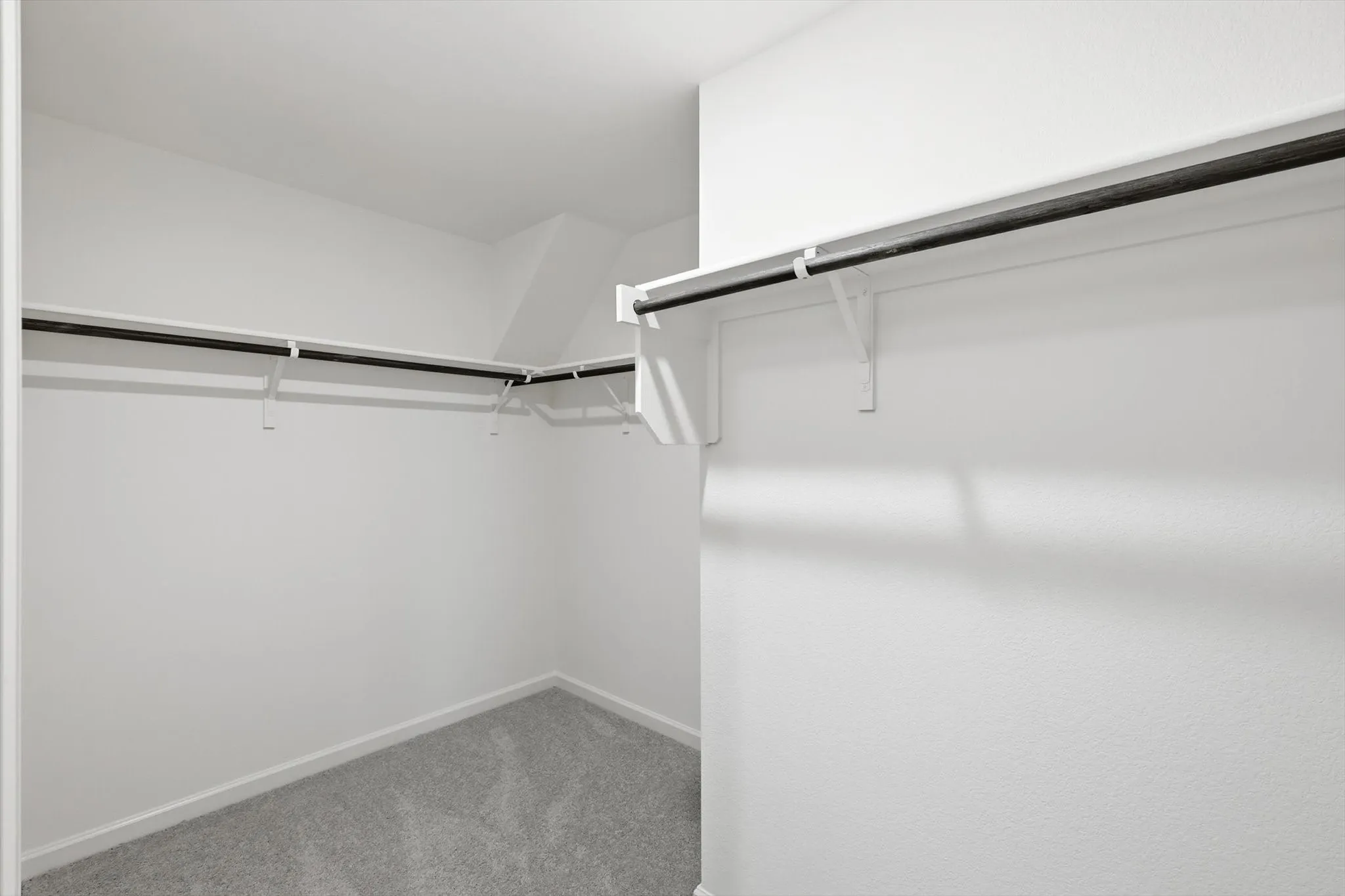 Walk-in closet featuring light gray carpeting, white walls, white shelving, and black hanging rods