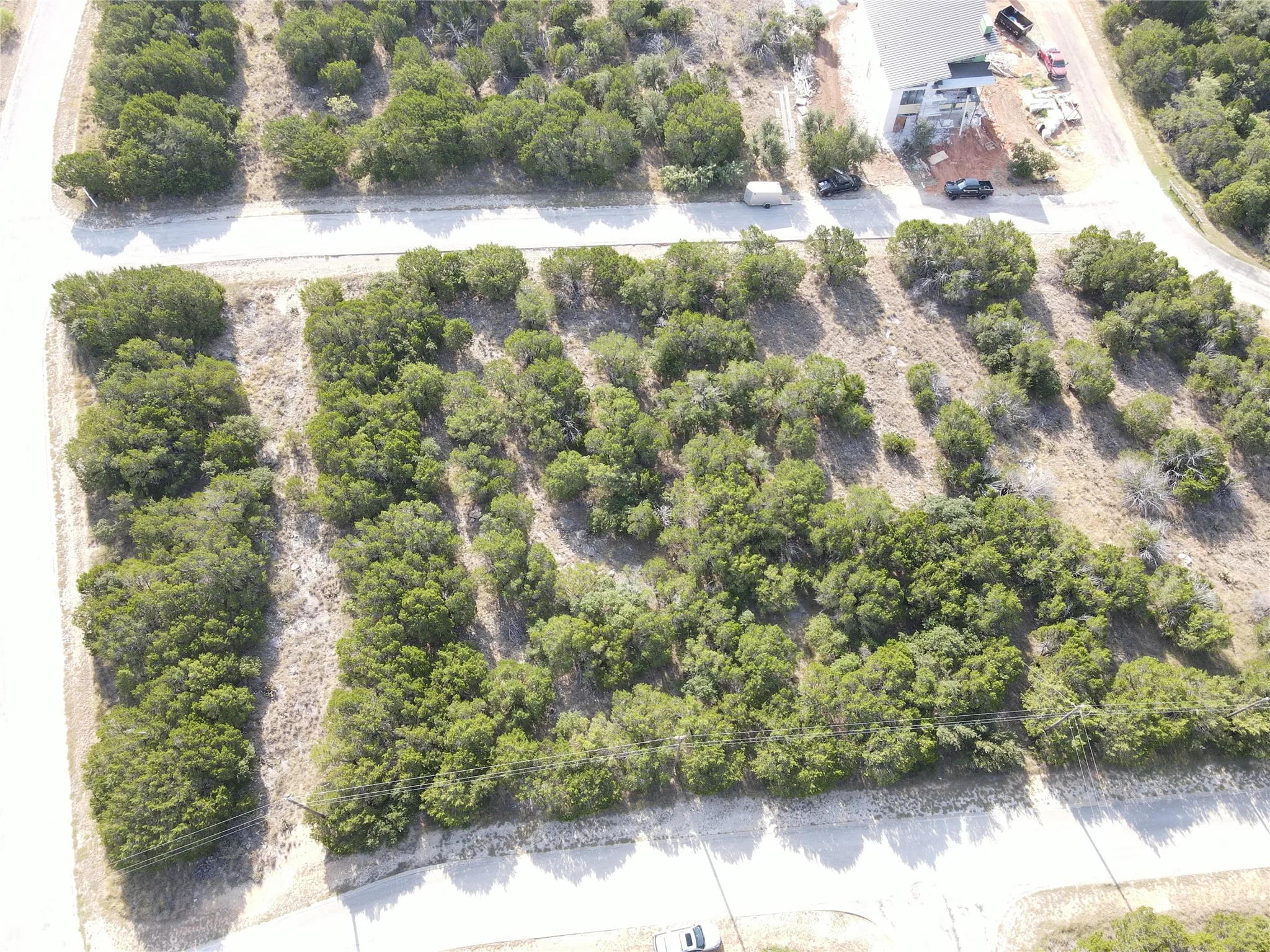 Expansive undeveloped land parcel featuring natural tree coverage and unpaved road frontage