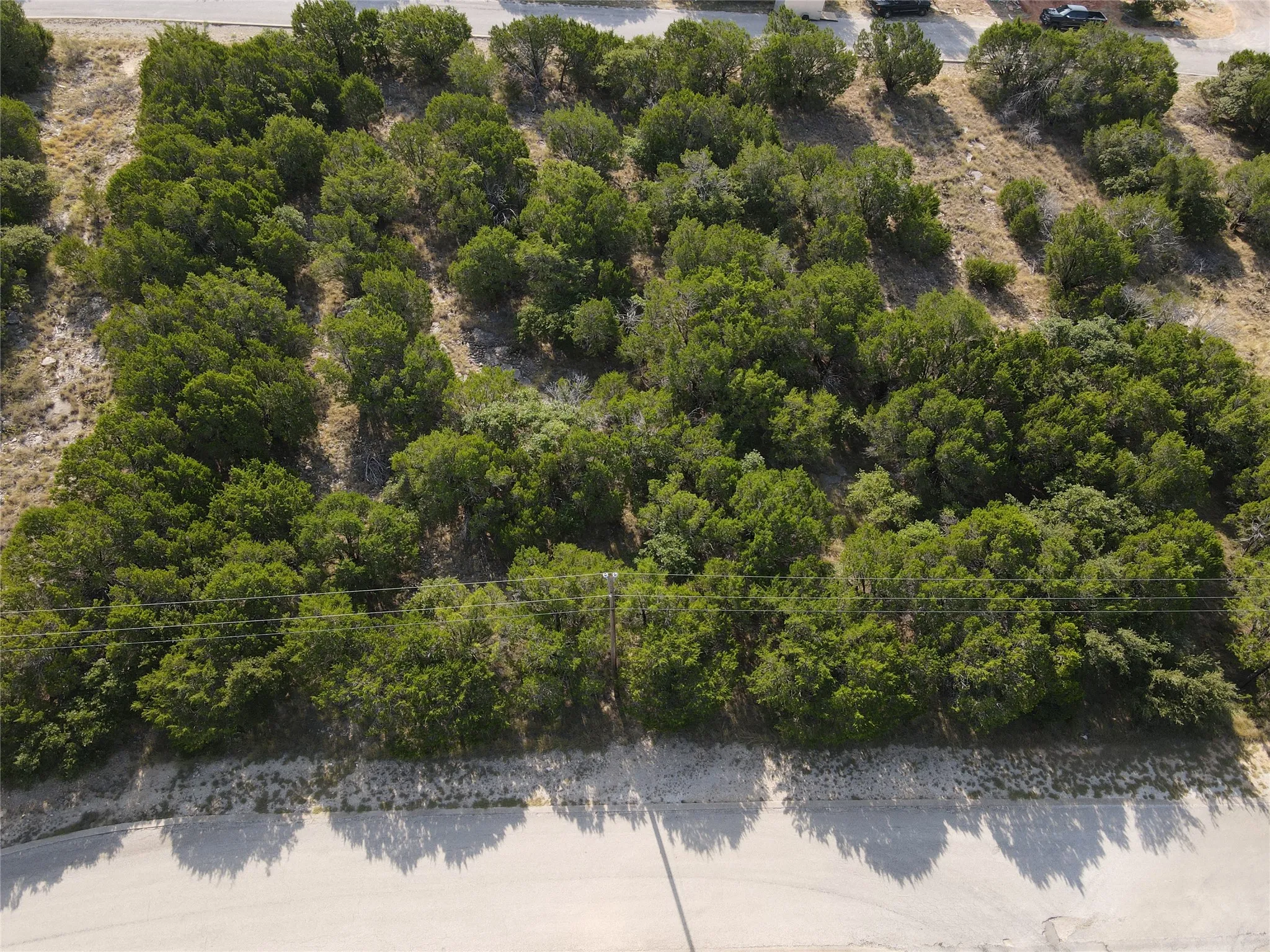 Wooded lot with mature trees and visible utility access