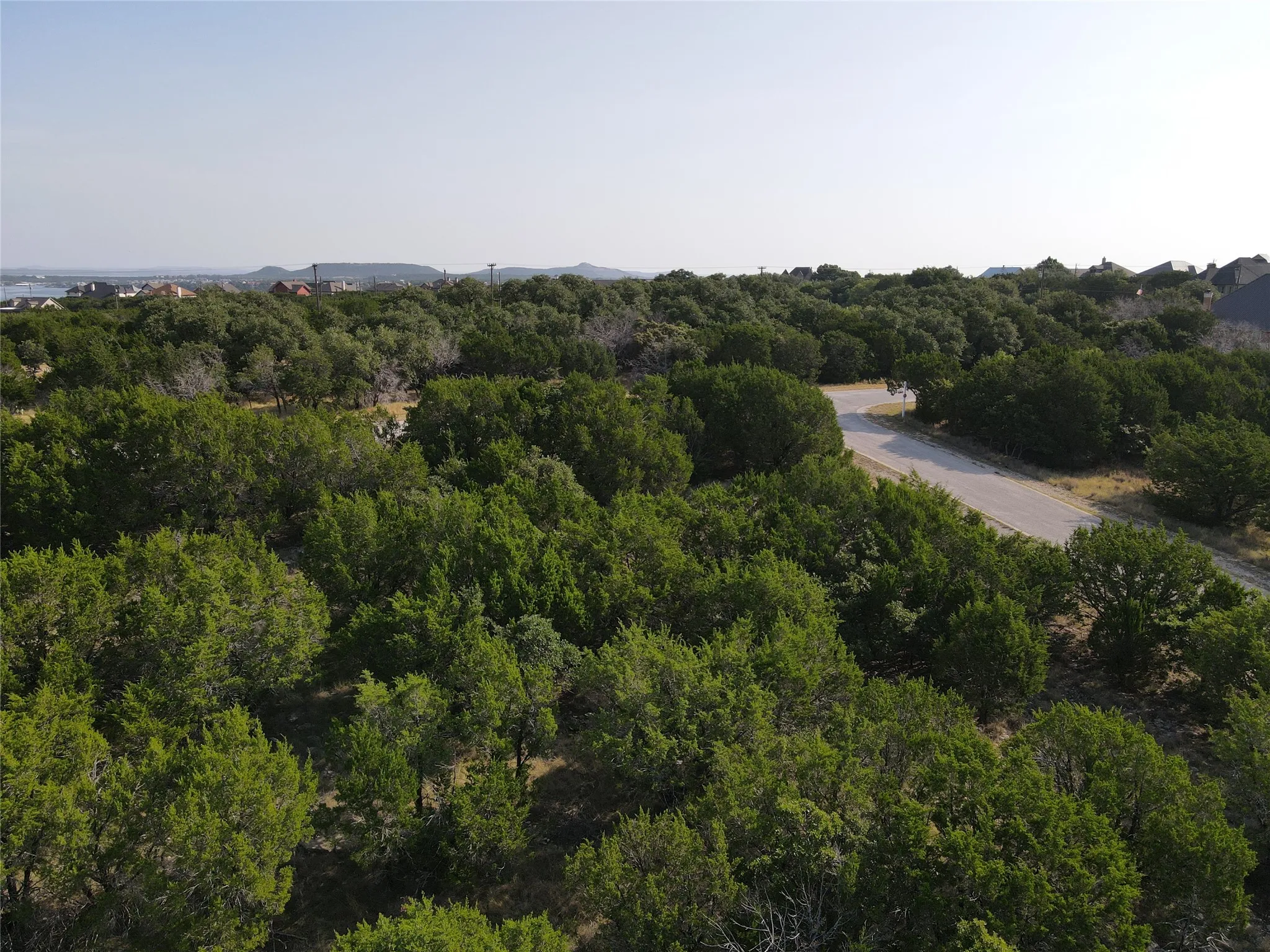 Expansive parcel featuring a winding road and dense tree coverage