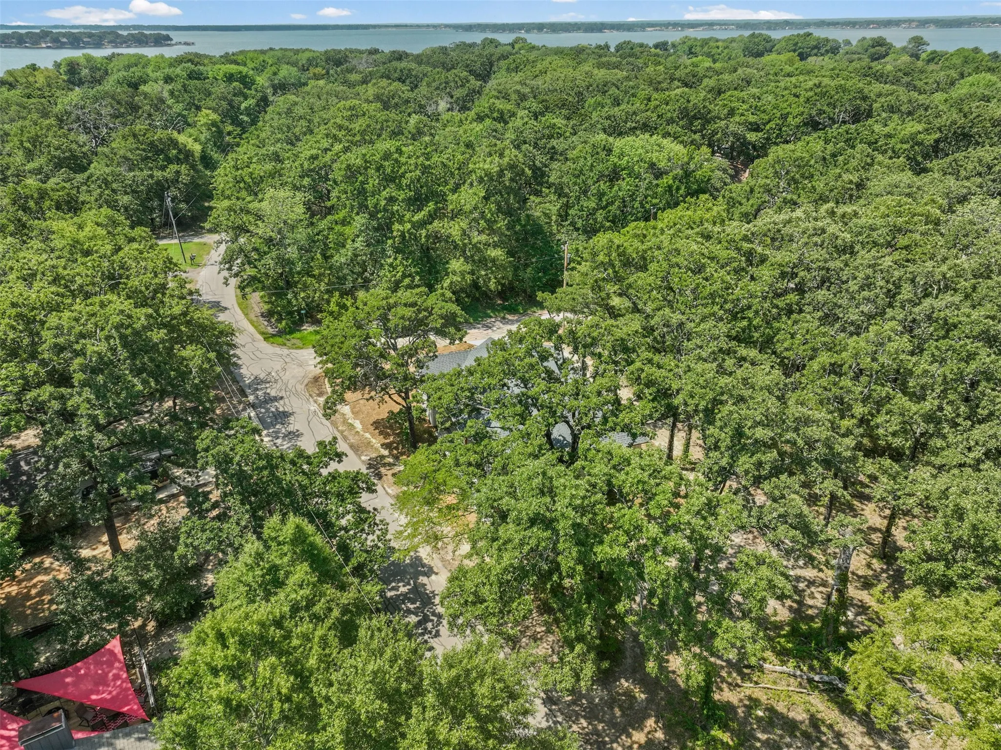 Expansive wooded acreage featuring mature trees and a distant water body