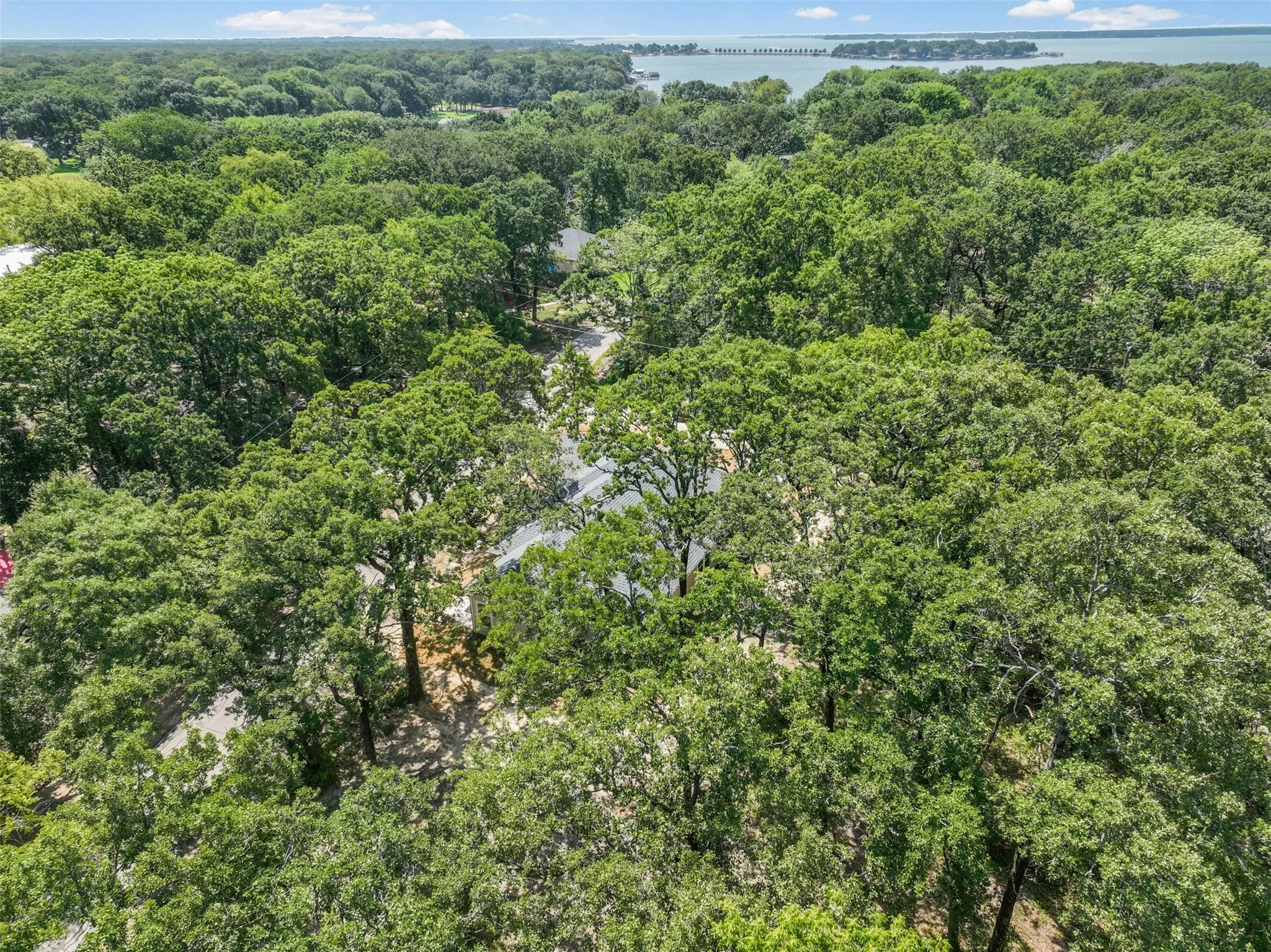 Aerial perspective showcasing a verdant landscape with mature trees