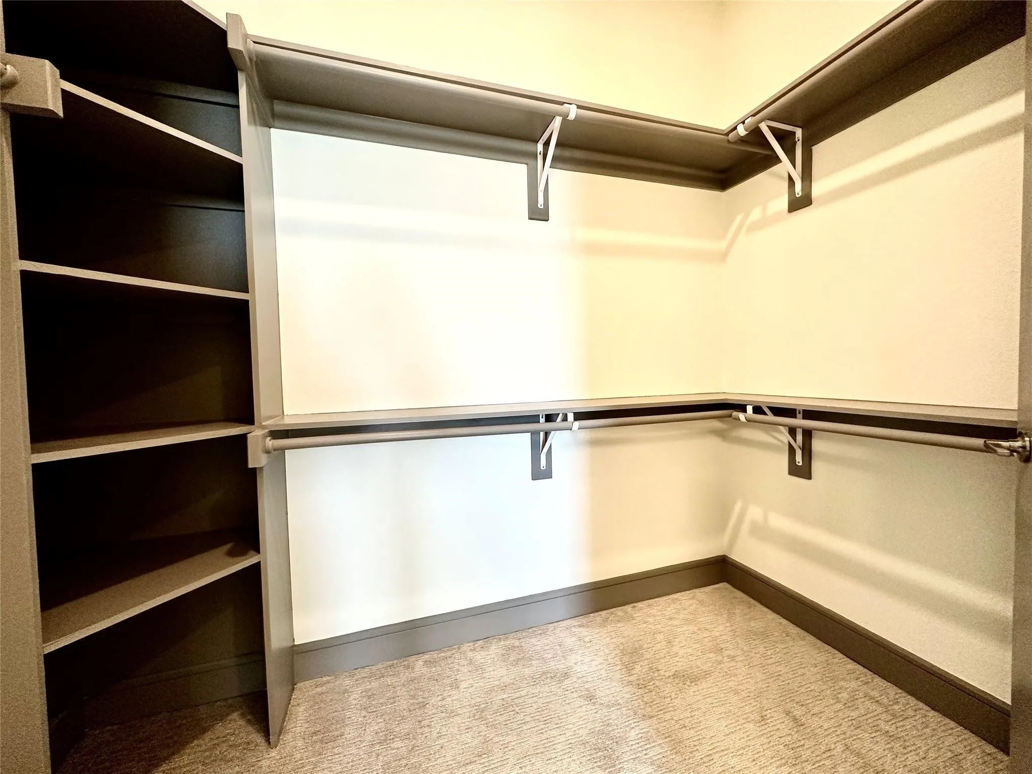 Walk-in closet featuring extensive built-in shelving, multiple hanging rods, and neutral-toned carpeting