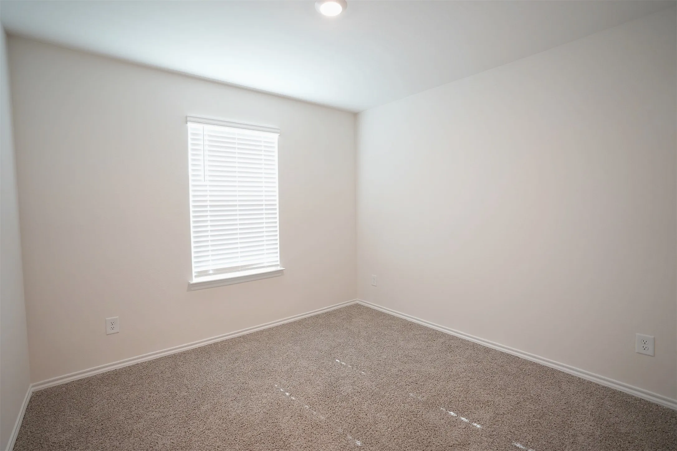 Neutral wall finishes, recessed lighting, and carpeted flooring
