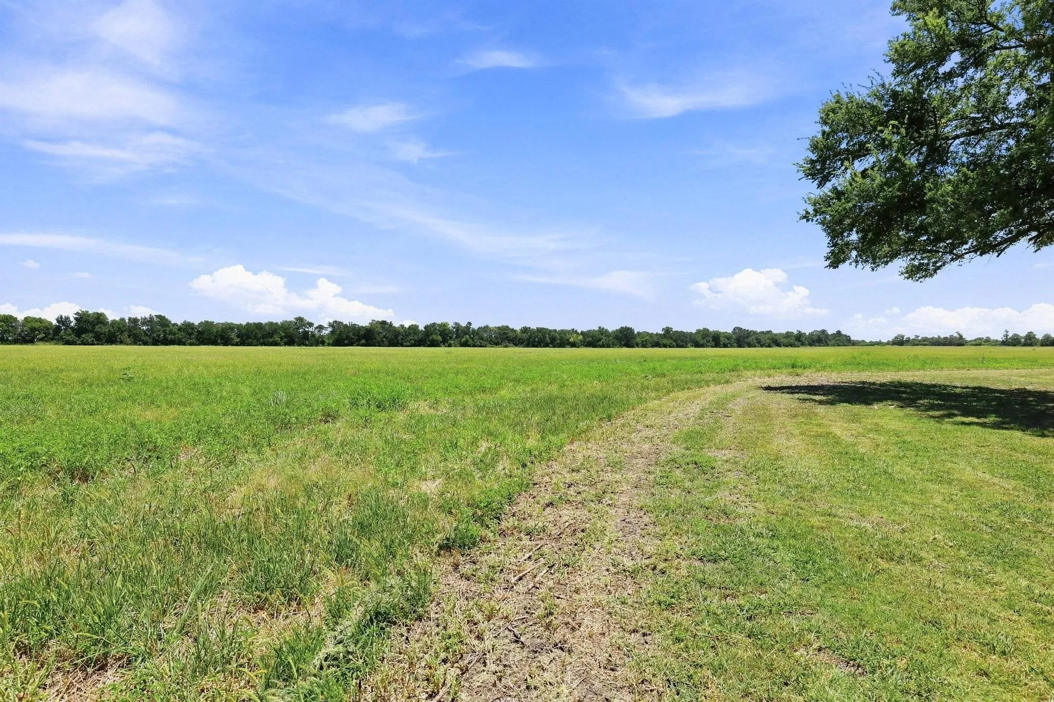 Farm For Sale in Collin County , 12097 Kyle Lane, Blue Ridge, Texas 75424, 2 Bedrooms, 2 Bathrooms, 1 Garage spaces, 1,335 Sqft, built in 1993, Price $1,150,000, mls#21344142, Real Estate Agent in Blue Ridge, Homes For Sale in Collin county, Homes For Sale in Blue Ridge, Realtor in Blue Ridge Texas, Real Estate Brokerage Independent Realty Texas, Luminita Cordes Realtor