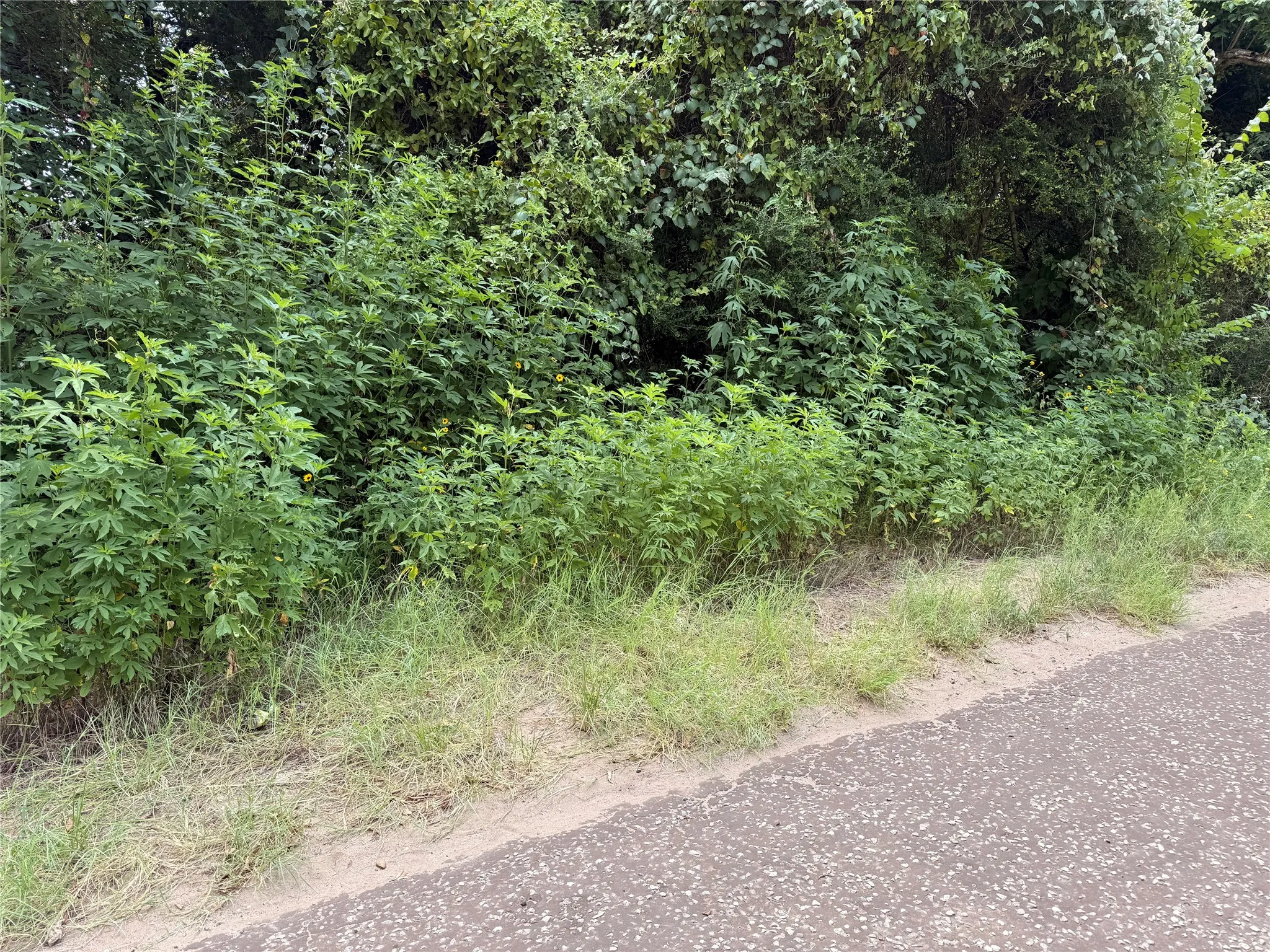 Unimproved Land For Sale in Freestone County , TBD FCR 531, Fairfield, Texas 75840, 0, 0, Garage spaces, 0 Sqft, built in 0, mls#21347796, Real Estate Agent in Fairfield, Homes For Sale in Freestone county, Homes For Sale in Fairfield, Realtor in Fairfield Texas, Real Estate Brokerage Independent Realty Texas, Luminita Cordes Realtor